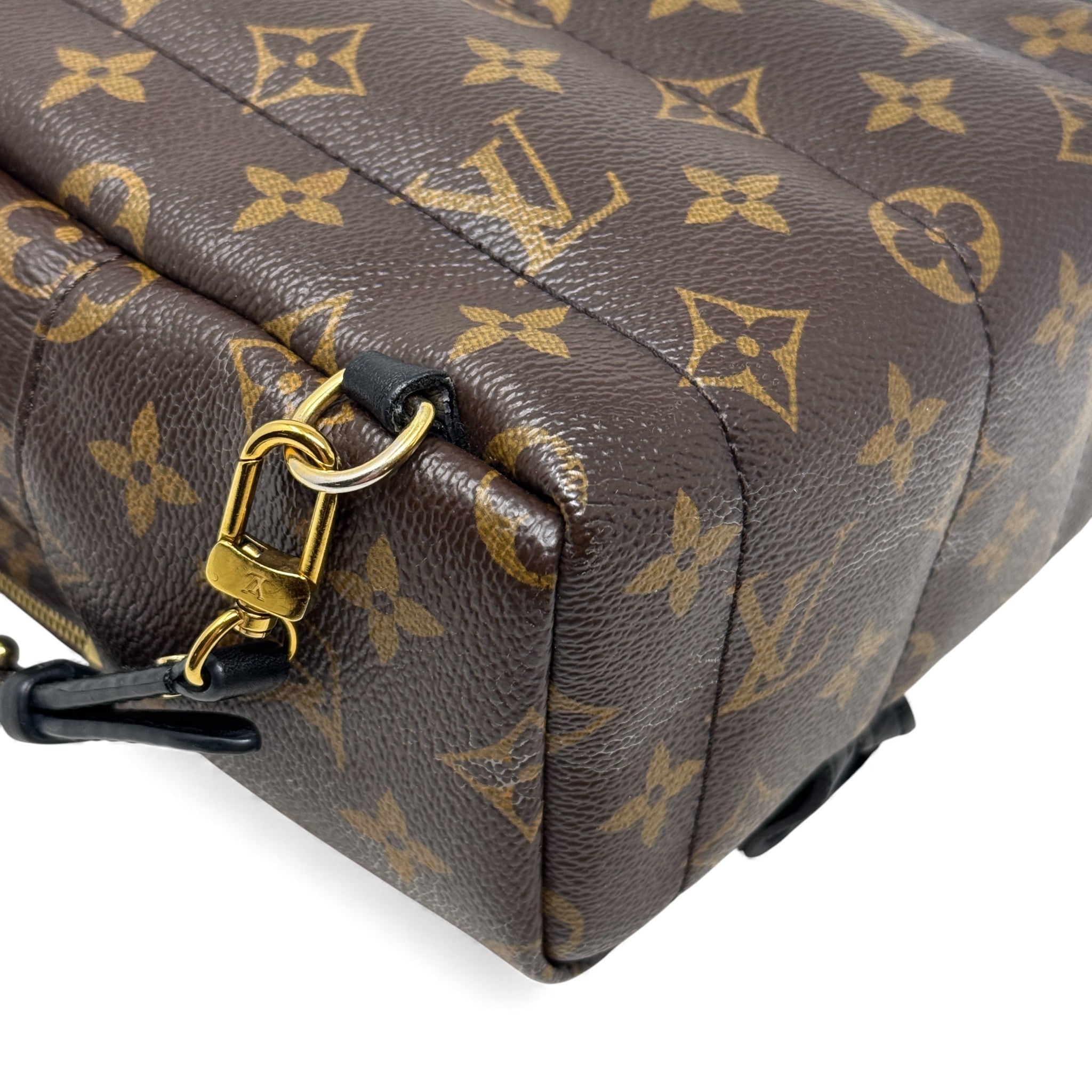 Louis Vuitton Monogram Mini Palm Strings