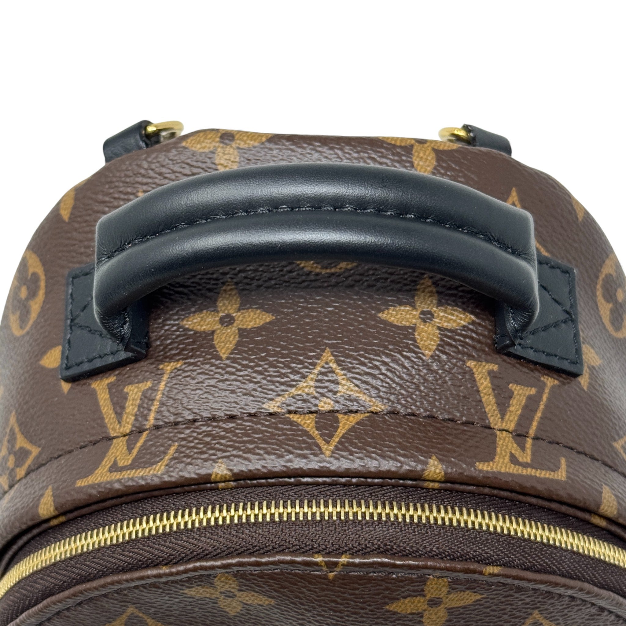 Louis Vuitton Monogram Mini Palm Strings