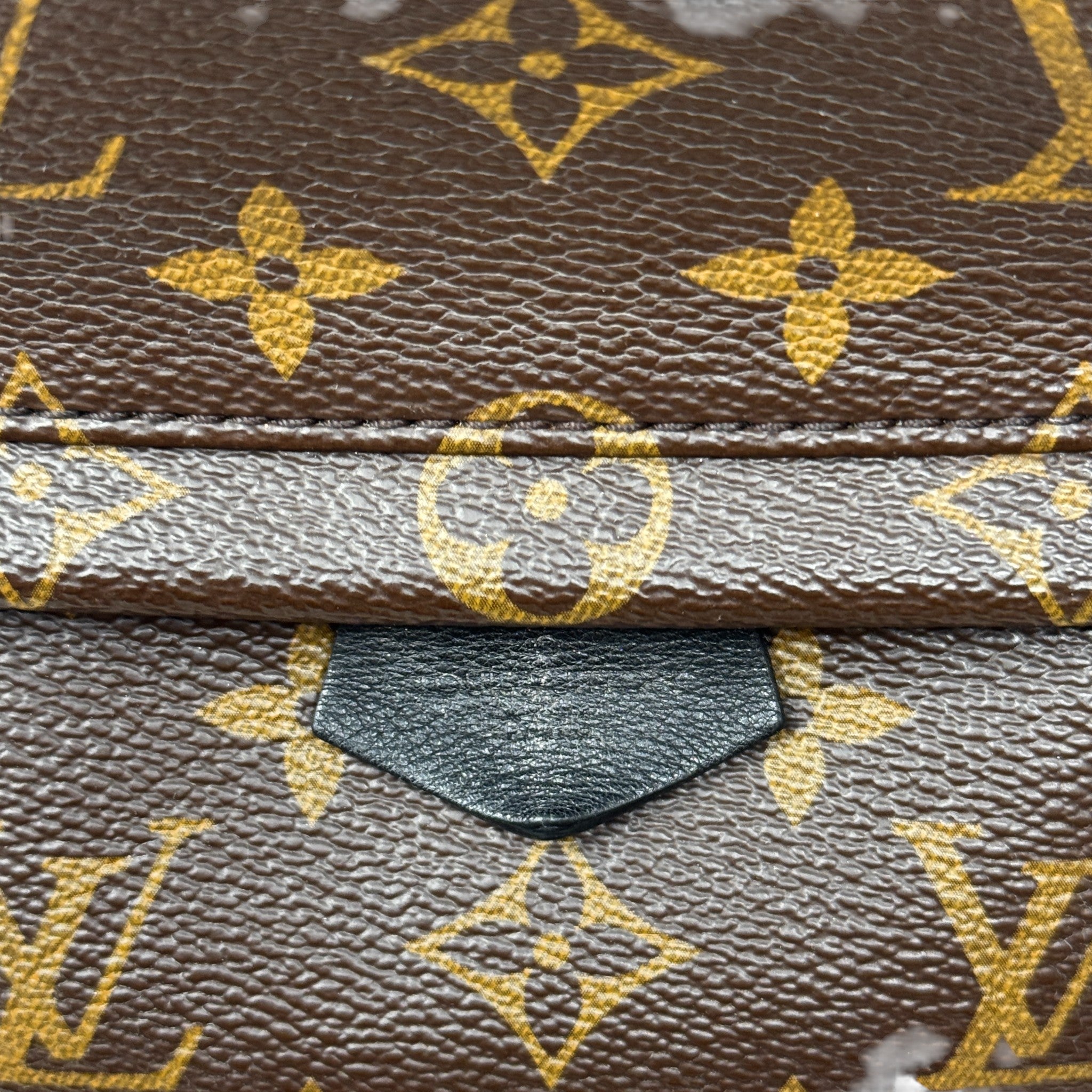 Louis Vuitton Monogram Mini Palm Strings