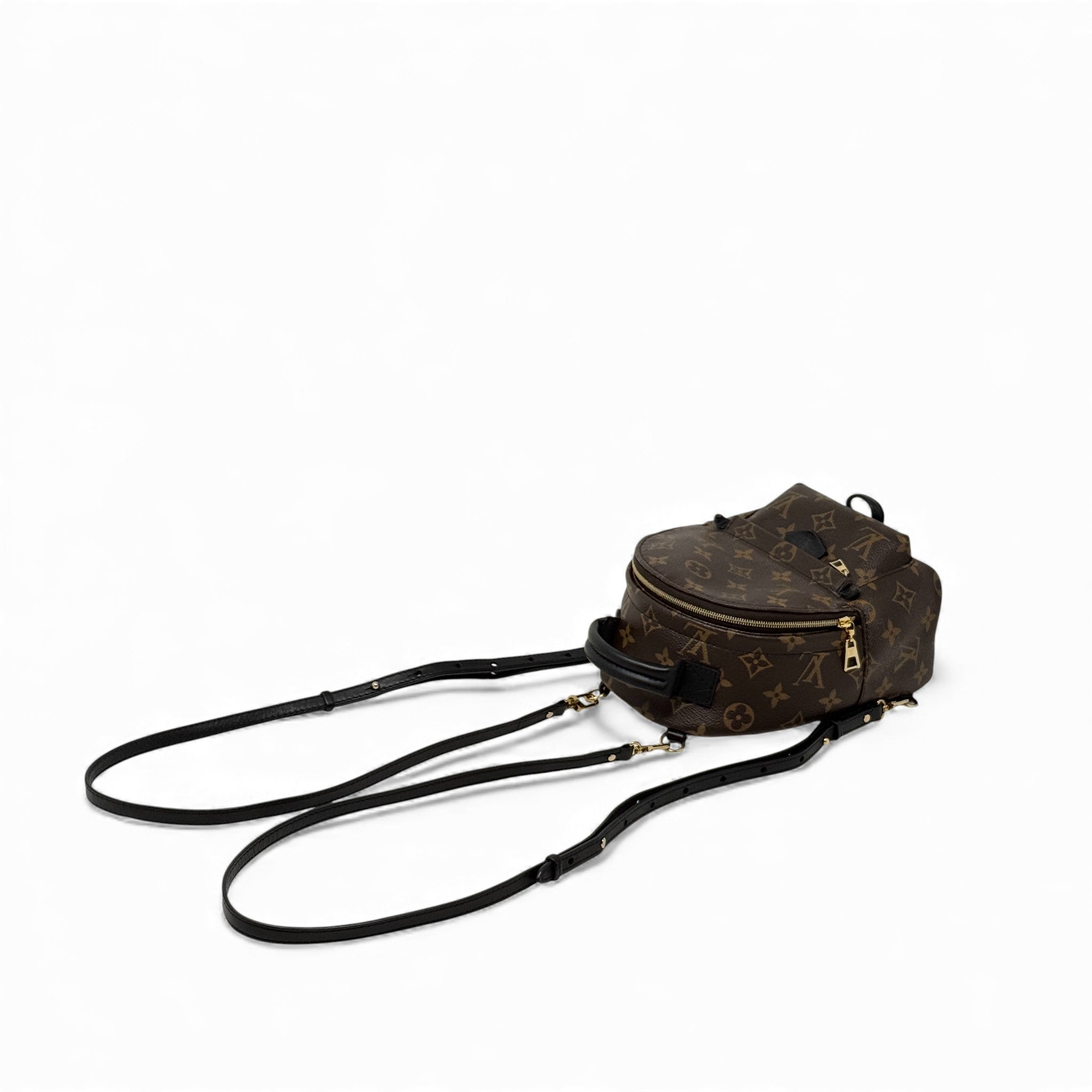 Louis Vuitton Monogram Mini Palm Strings