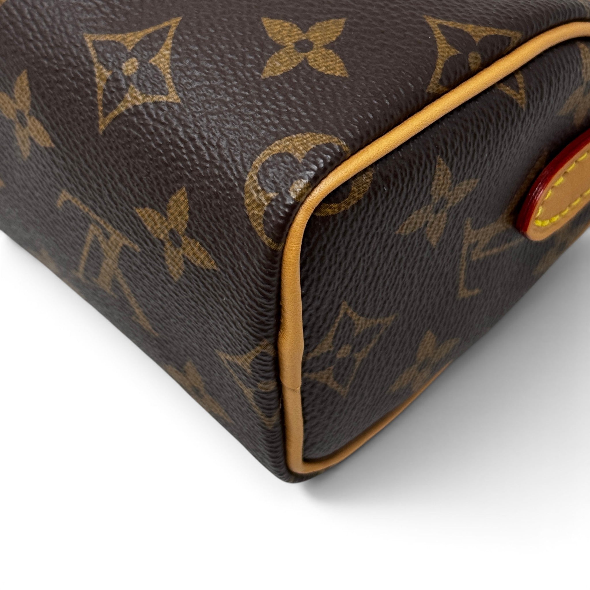 Louis Vuitton Monogram Nano Speedy