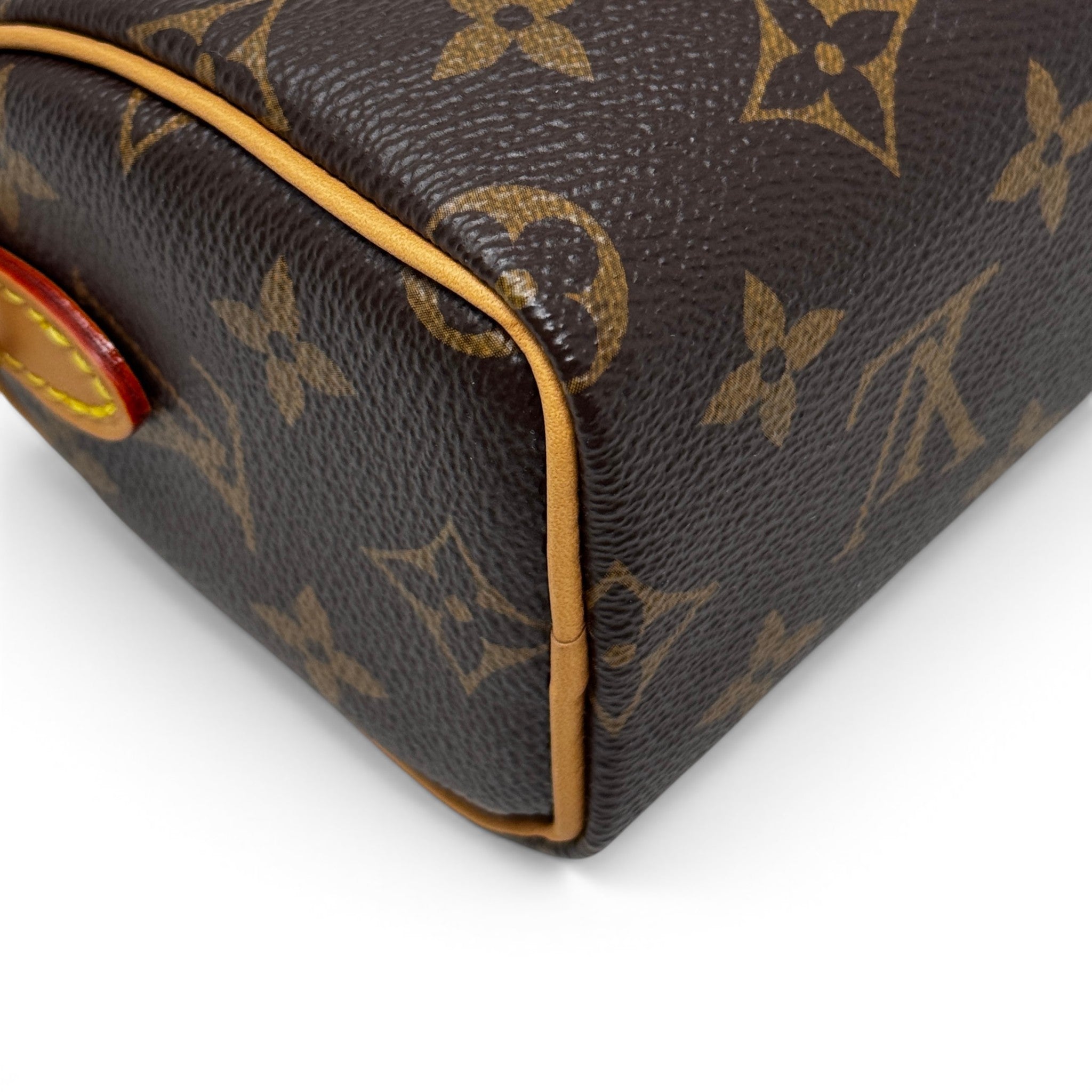 Louis Vuitton Monogram Nano Speedy