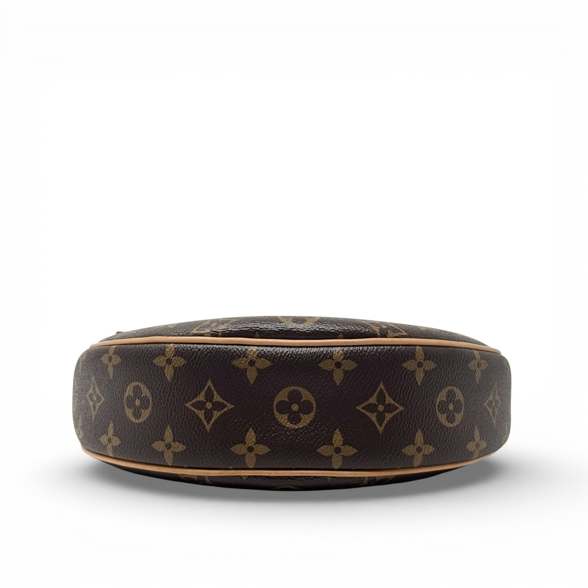 Louis Vuitton Monogram Loop Bag