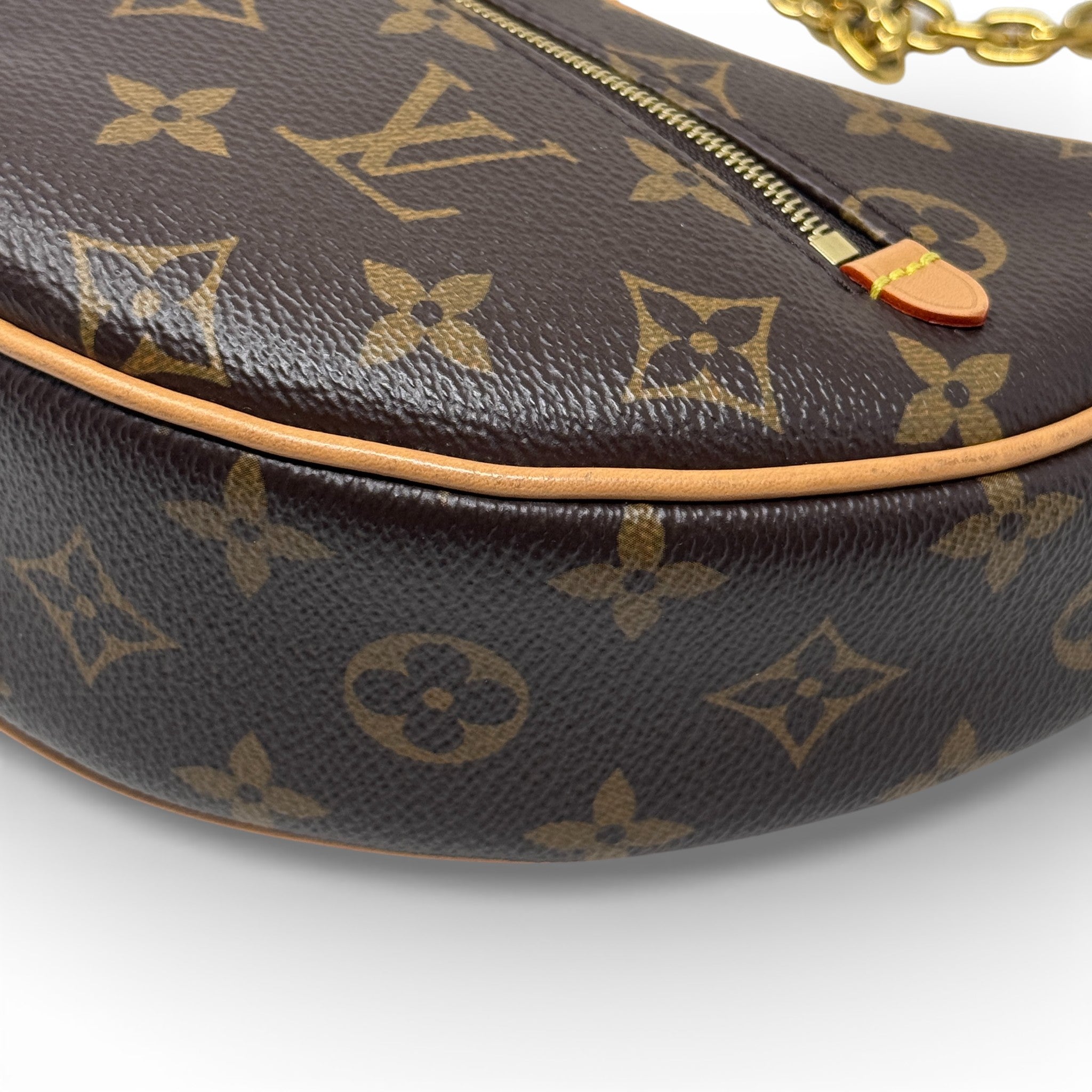 Louis Vuitton Monogram Loop Bag