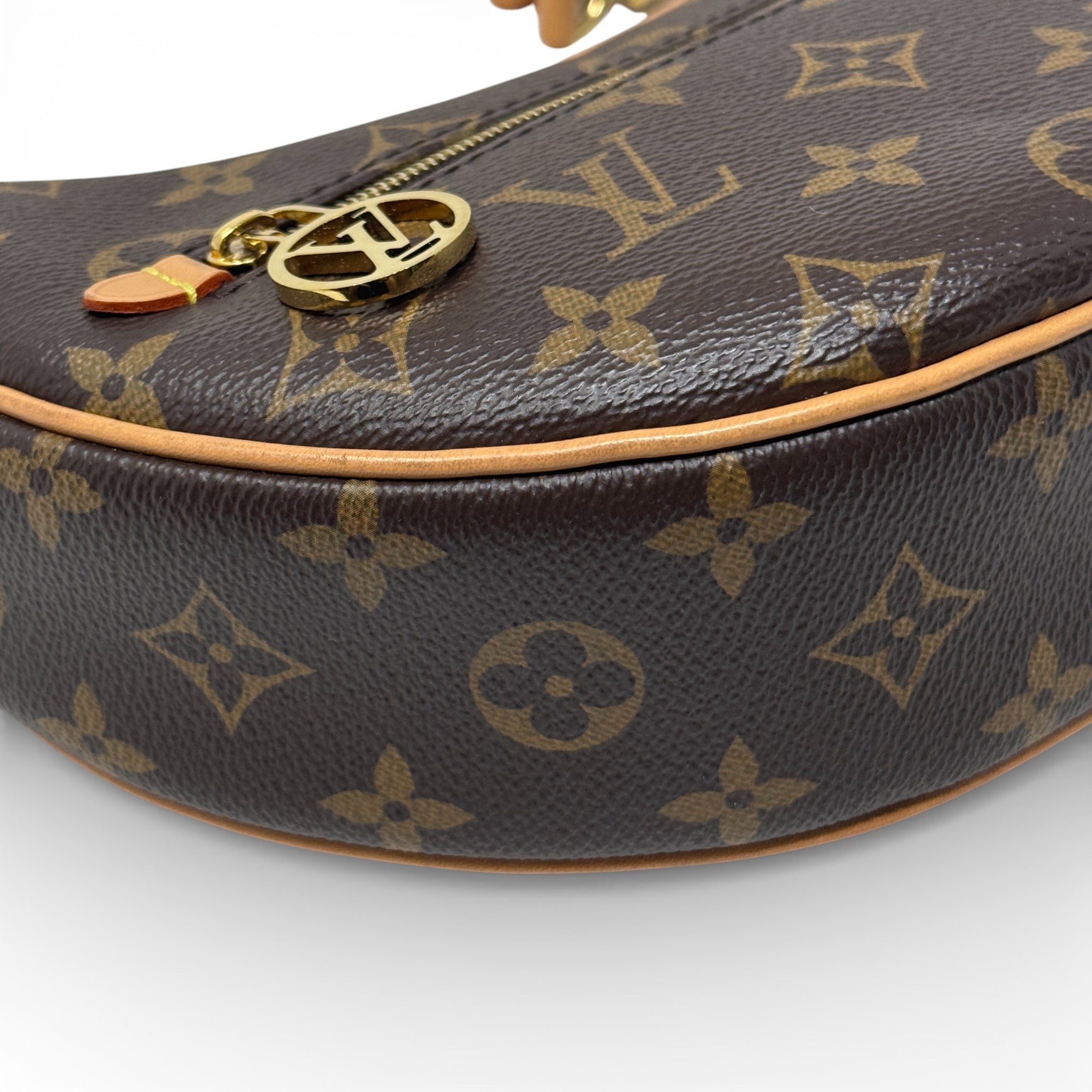Louis Vuitton Monogram Loop Bag