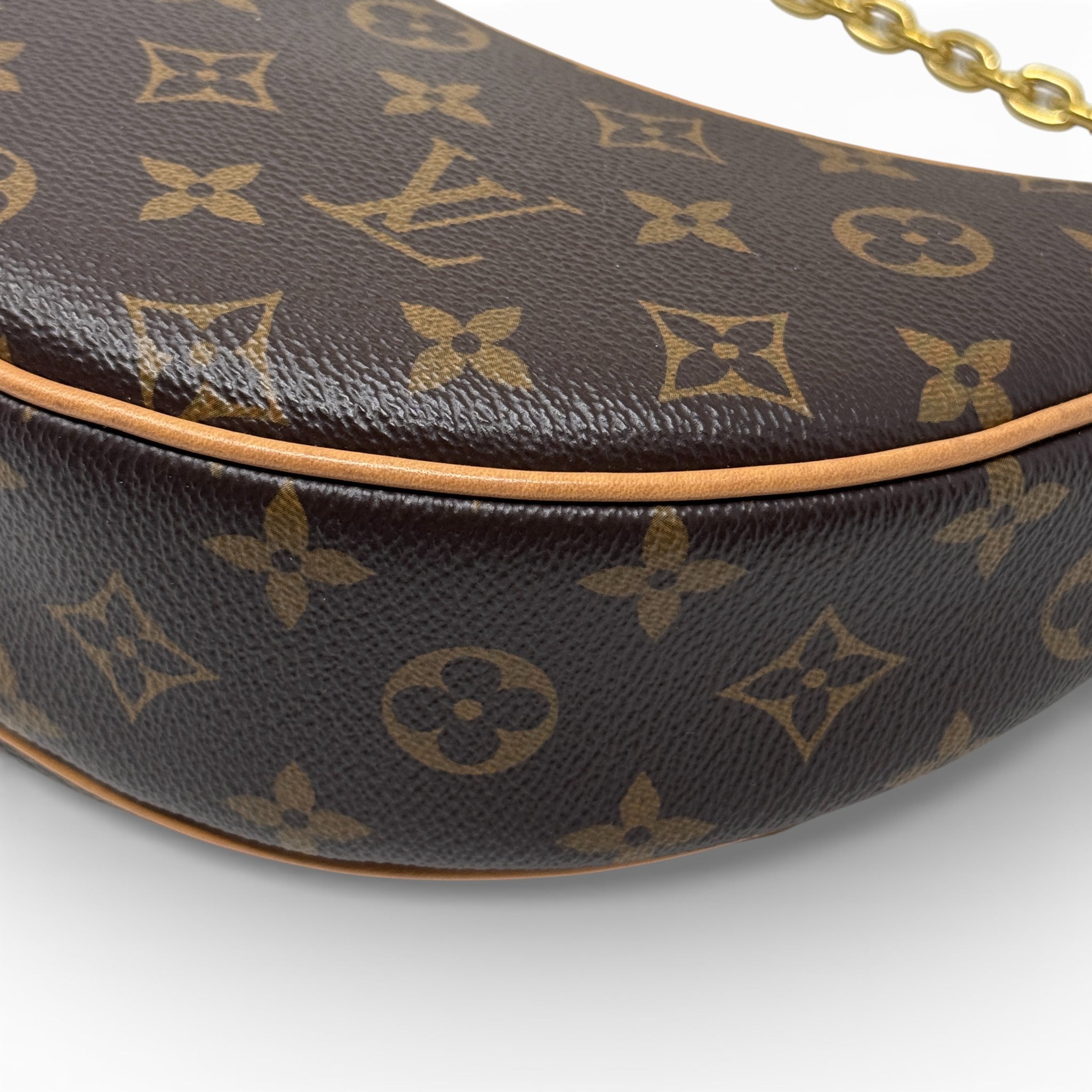 Louis Vuitton Monogram Loop Bag