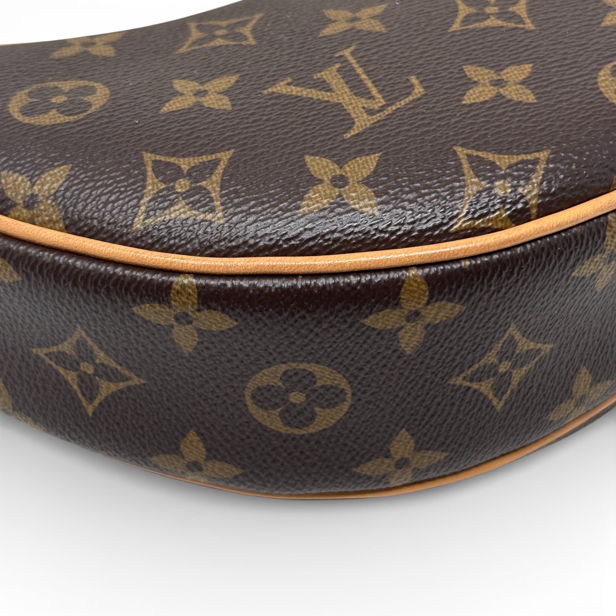 Louis Vuitton Monogram Loop Bag