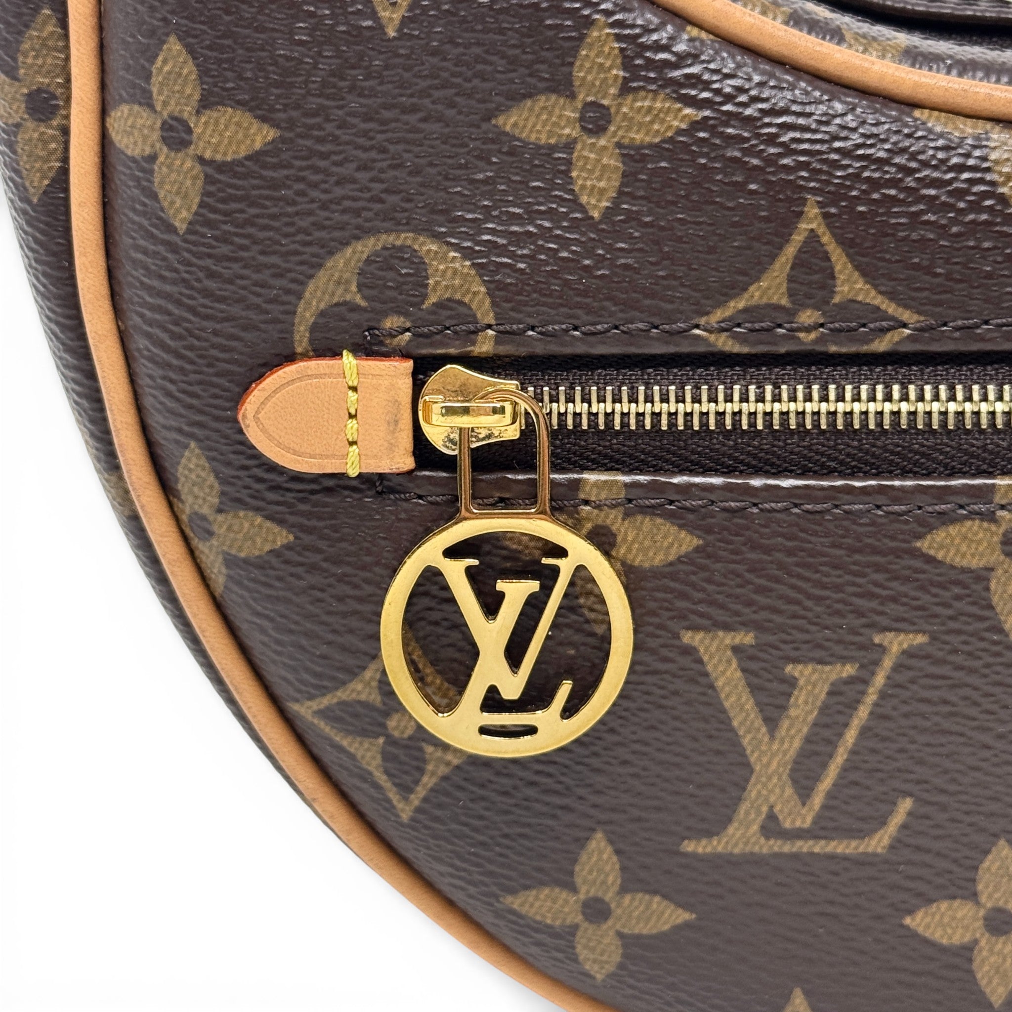 Louis Vuitton Monogram Loop Bag