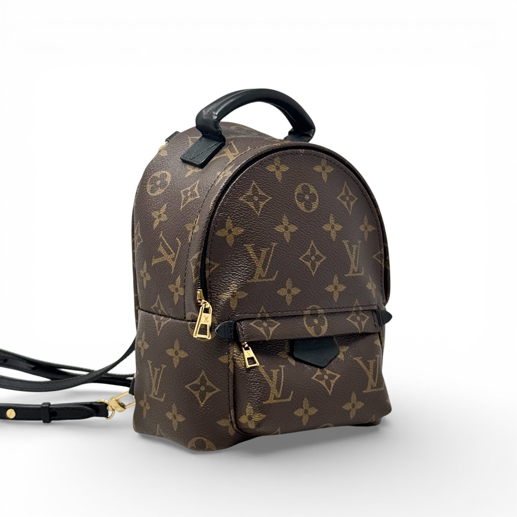 Louis Vuitton Monogram Palm Springs Mini