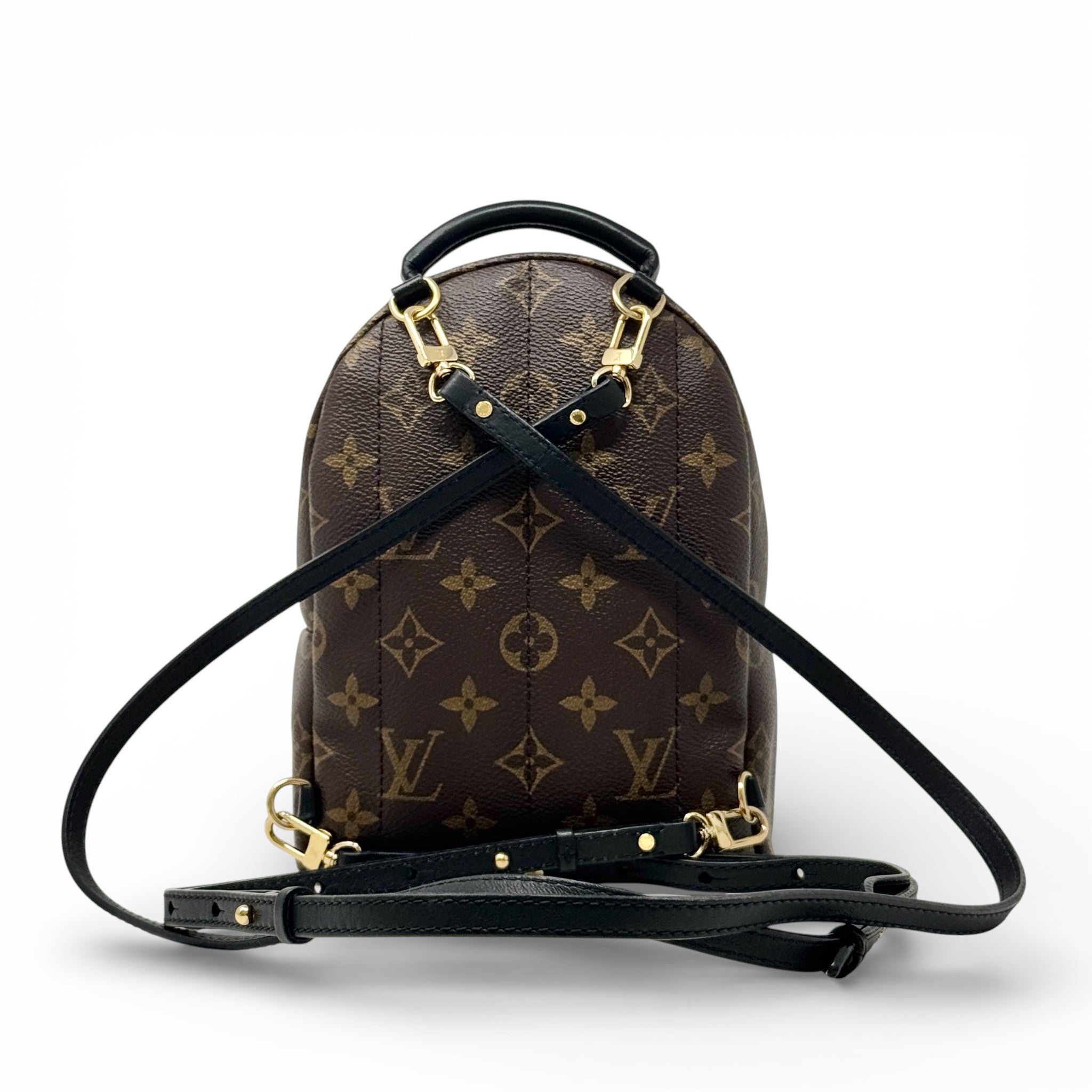 Louis Vuitton Monogram Palm Springs Mini