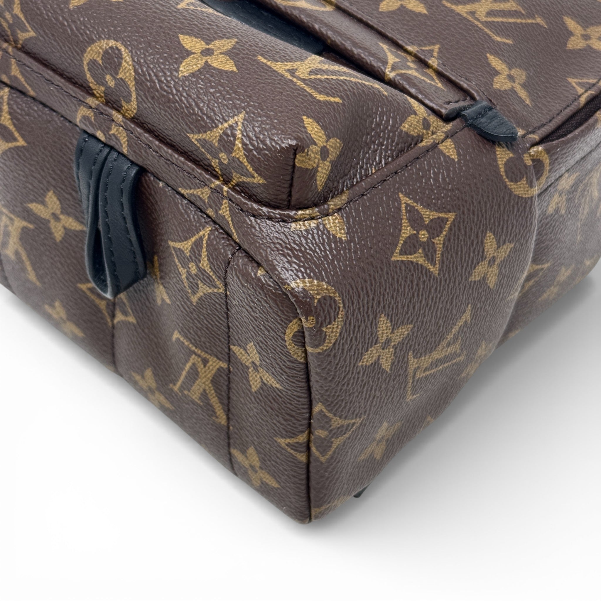 Louis Vuitton Monogram Palm Springs Mini