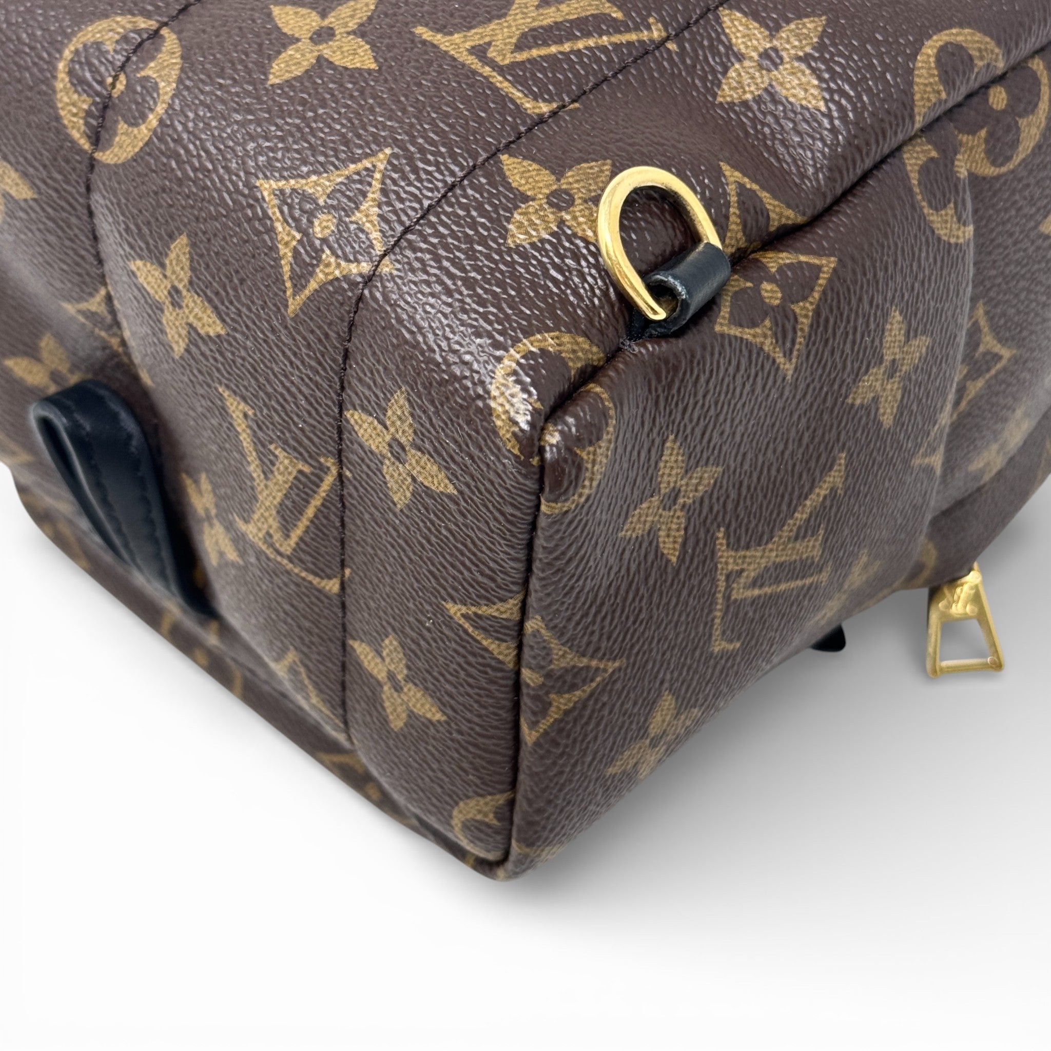 Louis Vuitton Monogram Palm Springs Mini