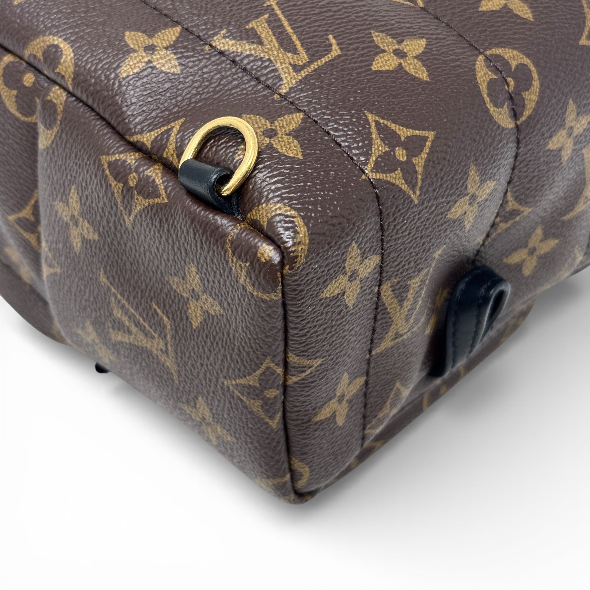 Louis Vuitton Monogram Palm Springs Mini