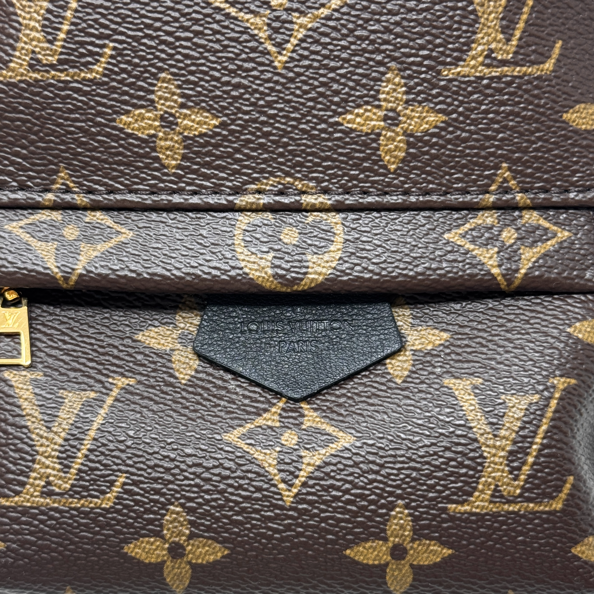 Louis Vuitton Monogram Palm Springs Mini