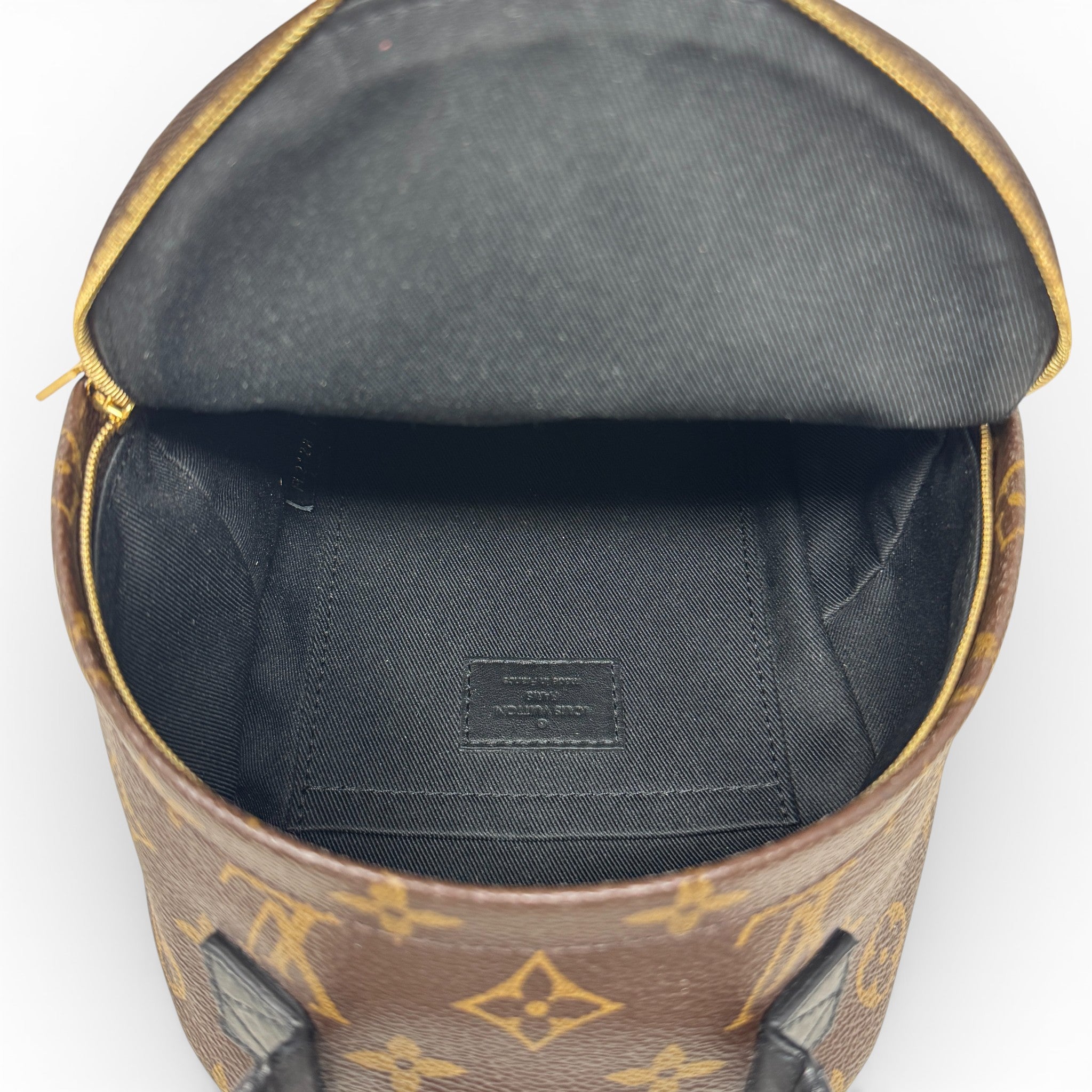 Louis Vuitton Monogram Palm Springs Mini