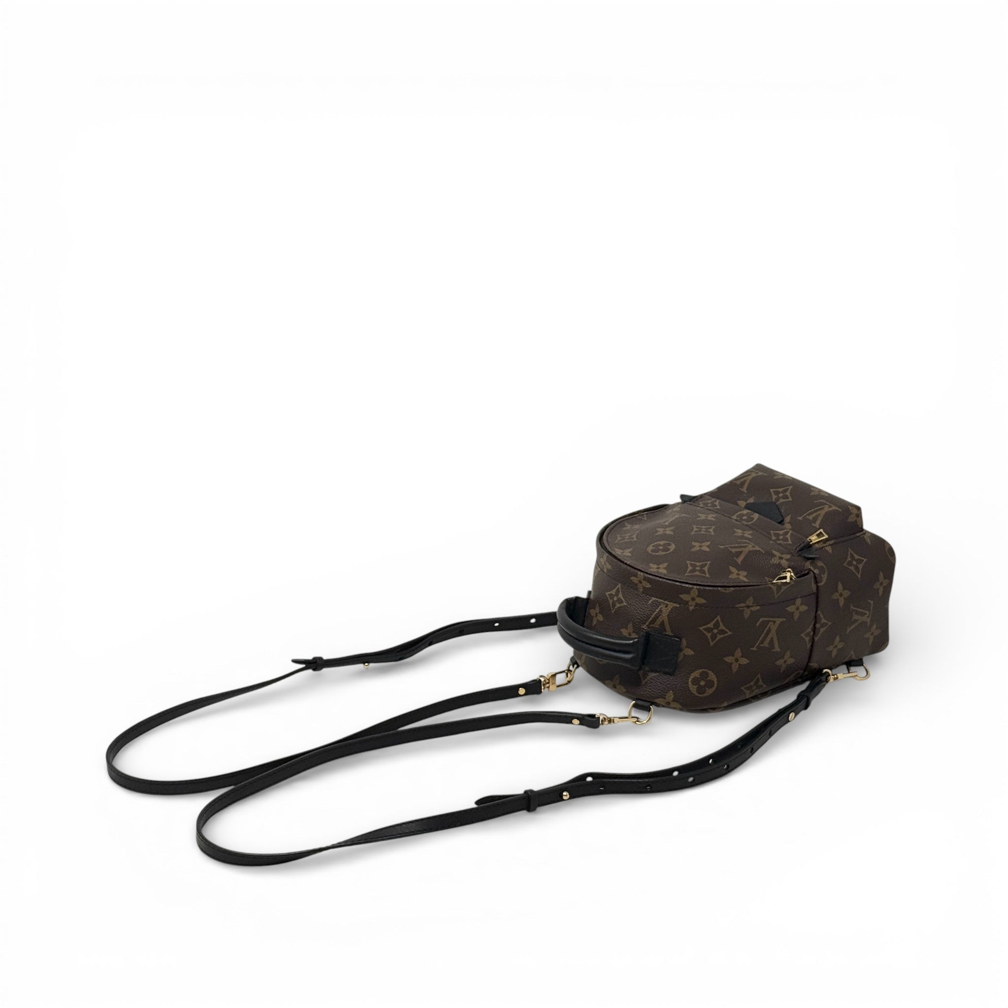 Louis Vuitton Monogram Palm Springs Mini