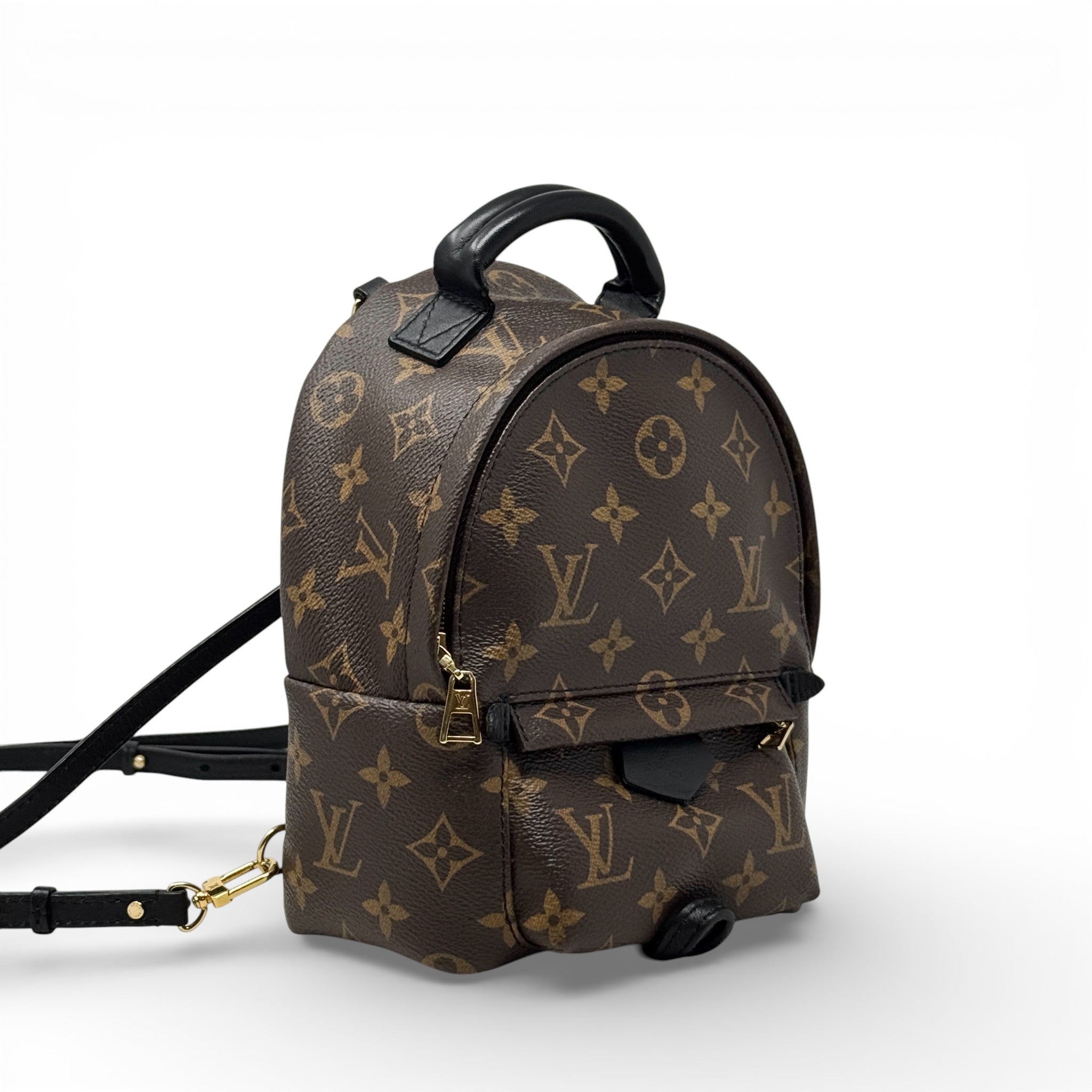 Louis Vuitton Monogram Palm Springs Mini