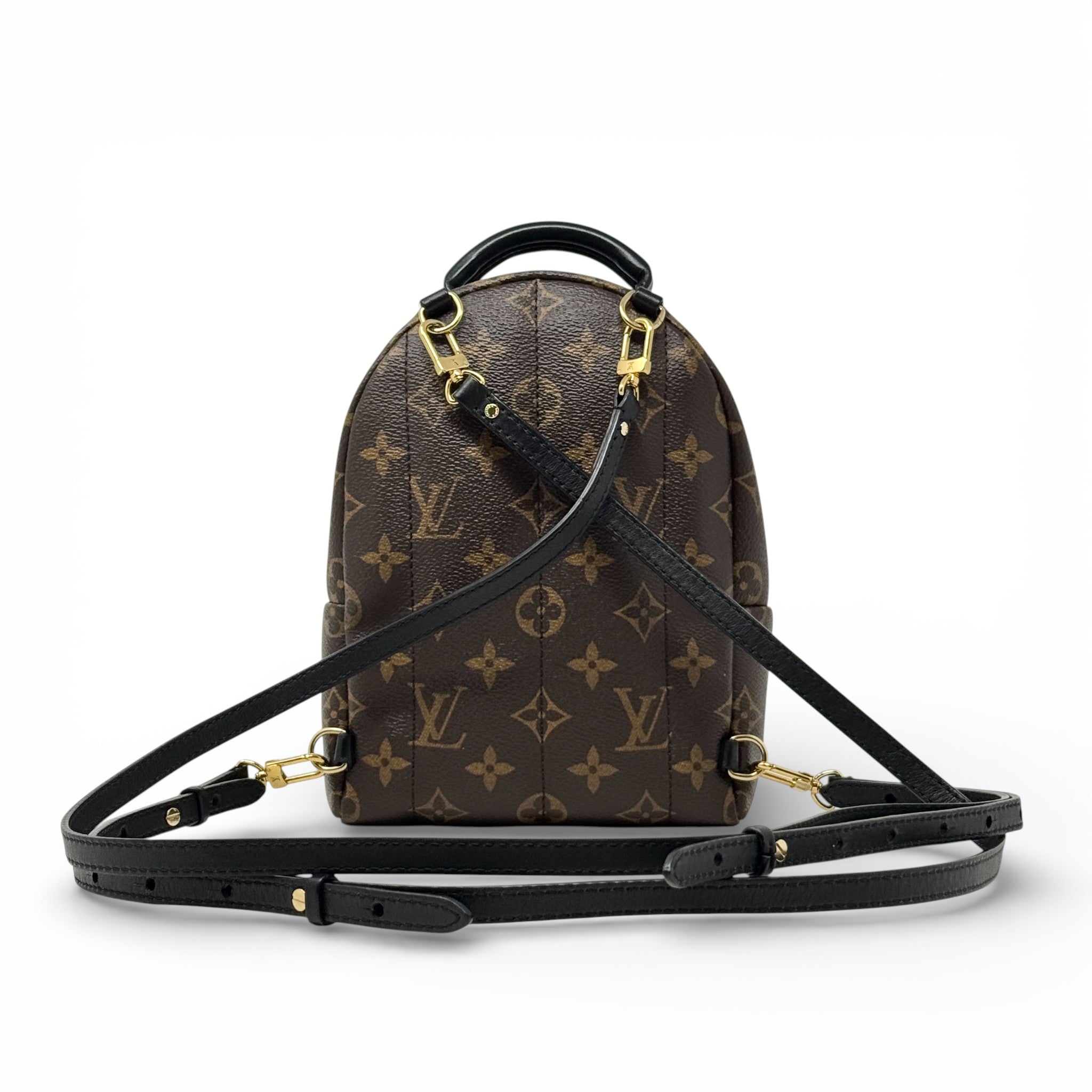 Louis Vuitton Monogram Palm Springs Mini