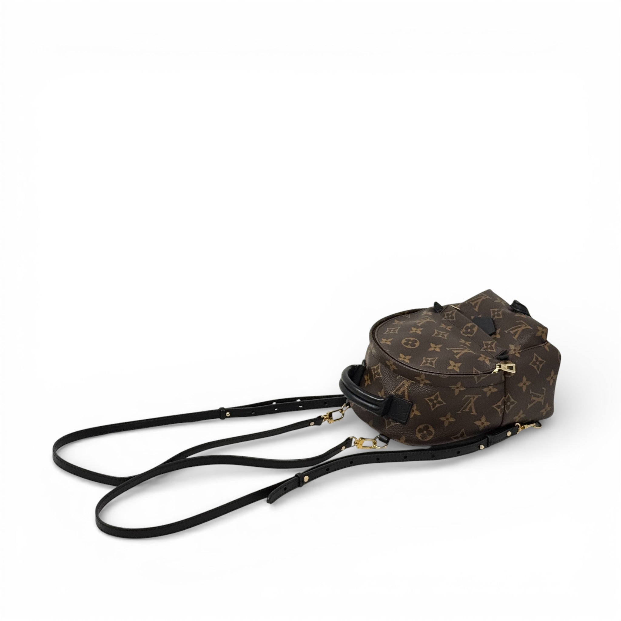 Louis Vuitton Monogram Palm Springs Mini