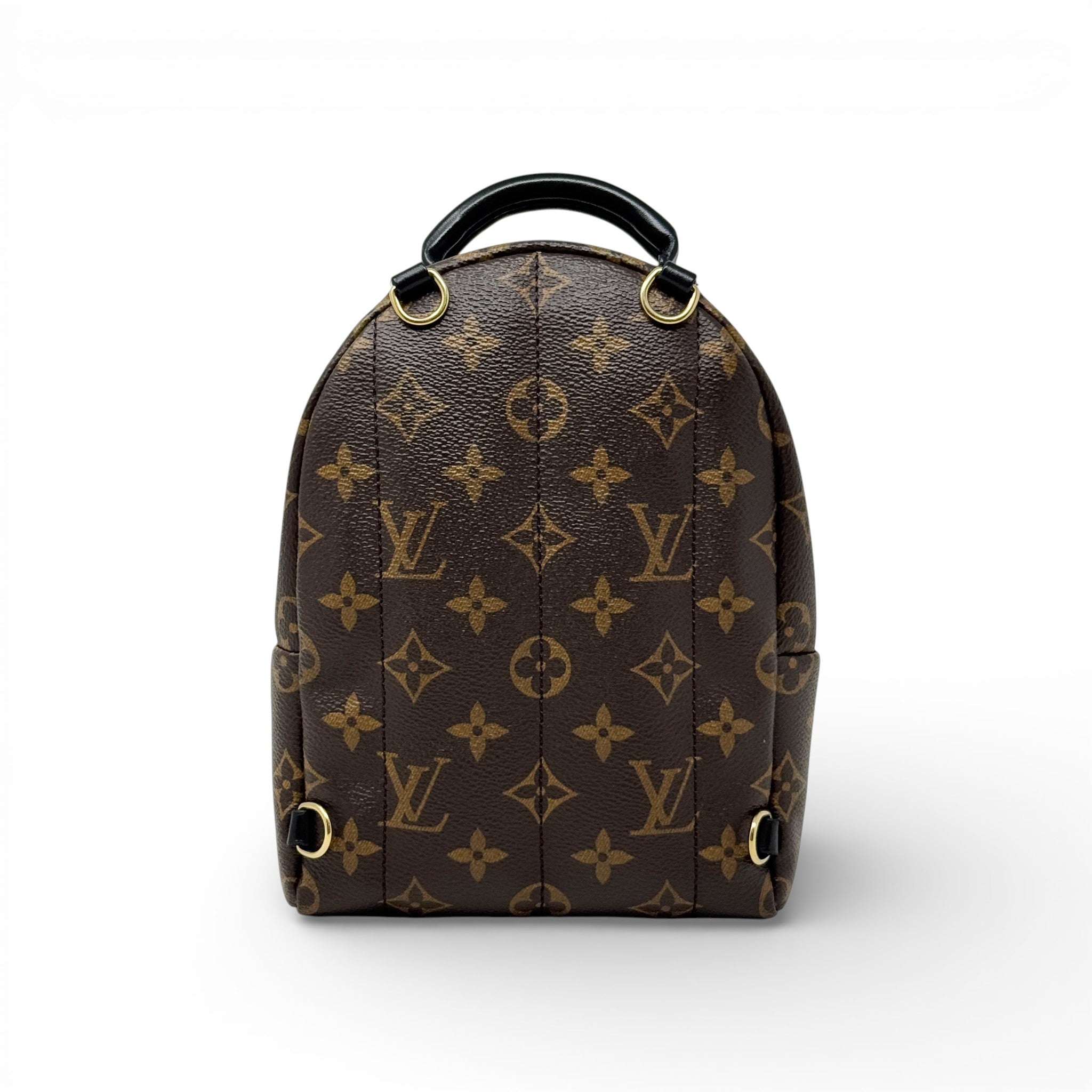 Louis Vuitton Monogram Palm Springs Mini