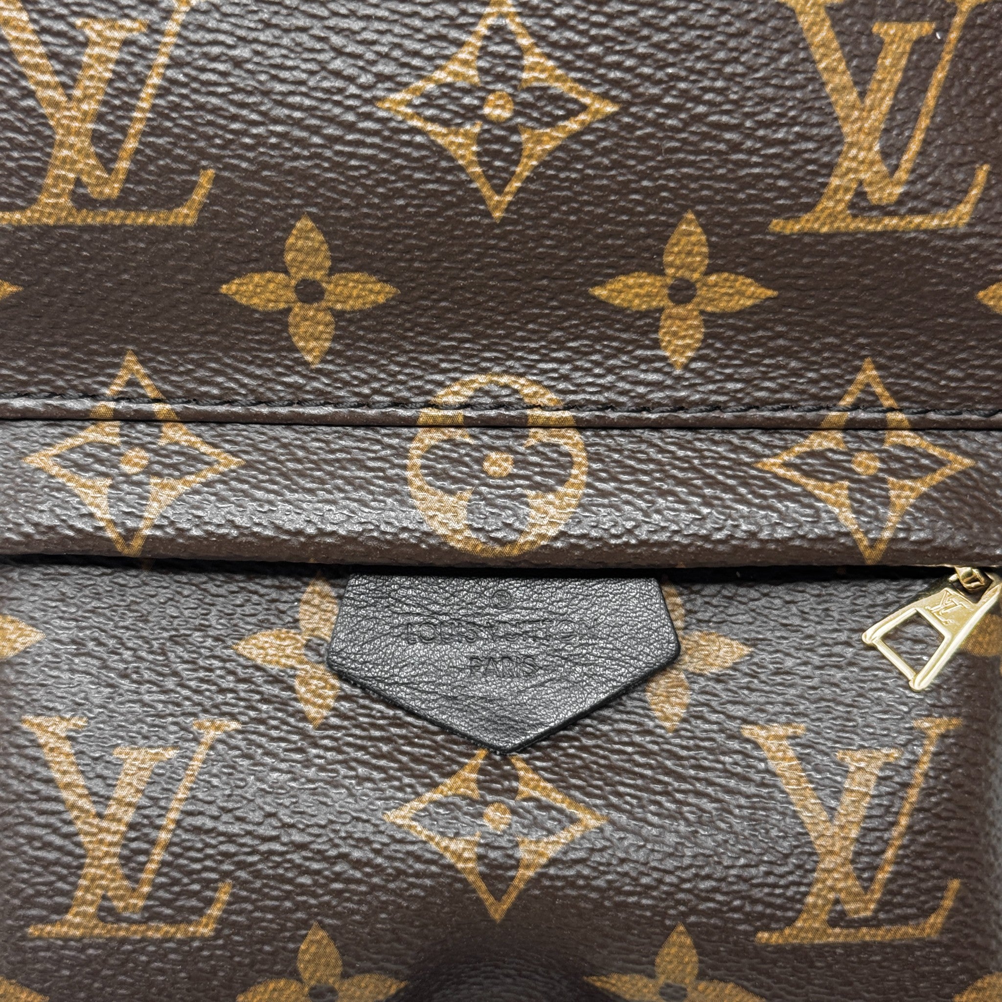 Louis Vuitton Monogram Palm Springs Mini