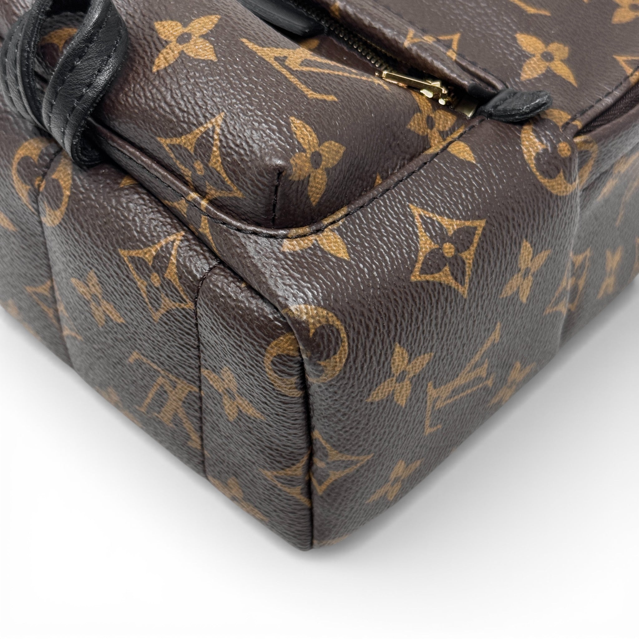 Louis Vuitton Monogram Palm Springs Mini