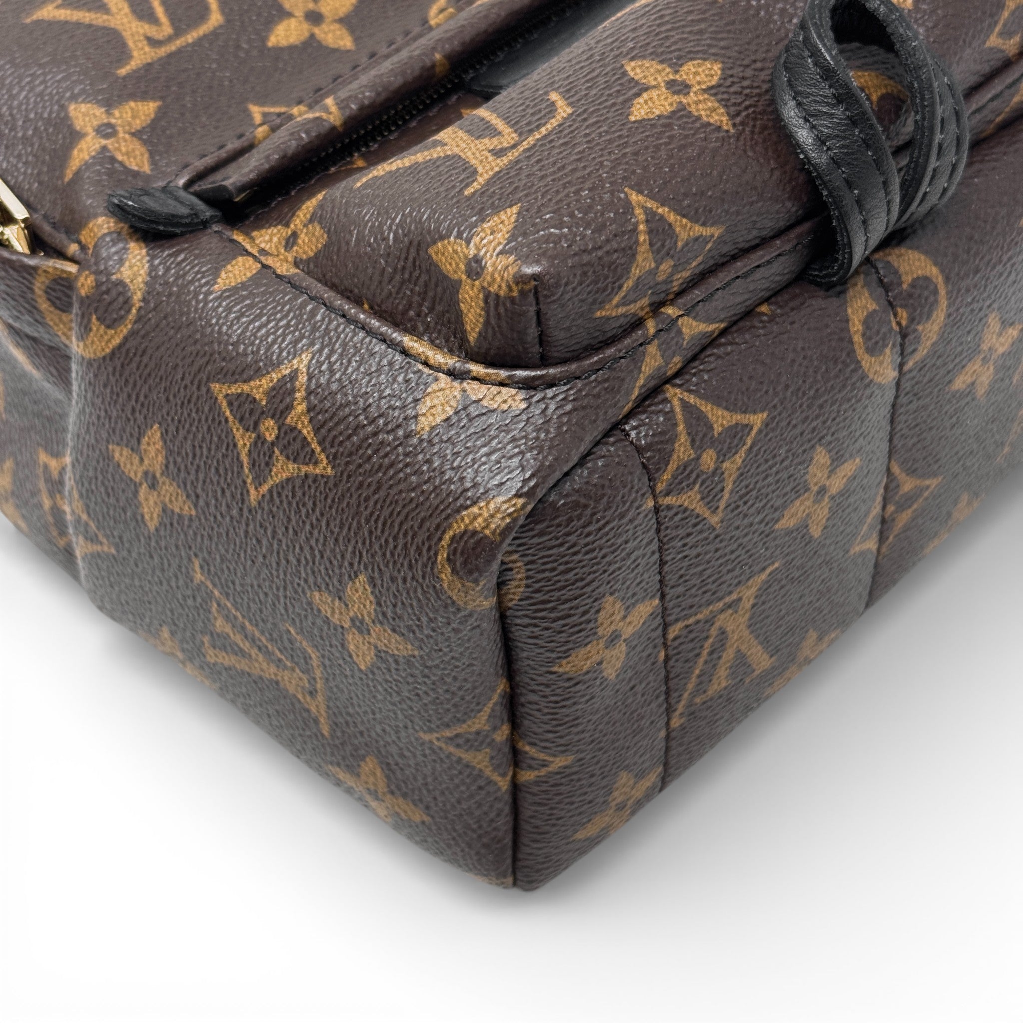 Louis Vuitton Monogram Palm Springs Mini