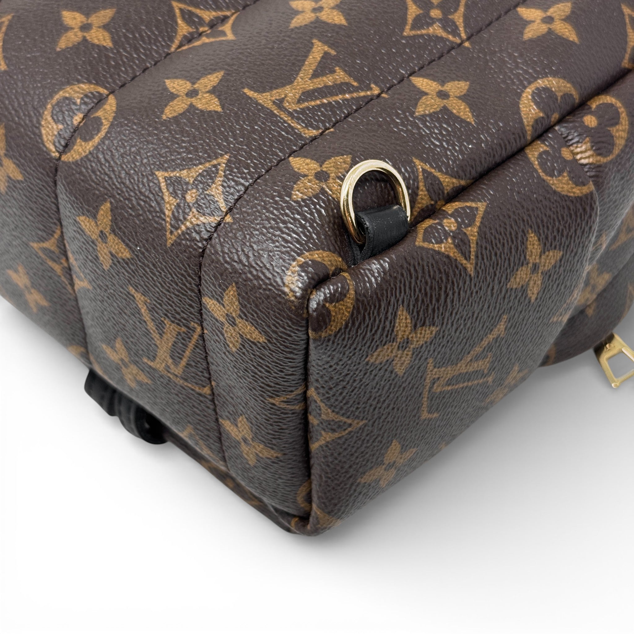 Louis Vuitton Monogram Palm Springs Mini