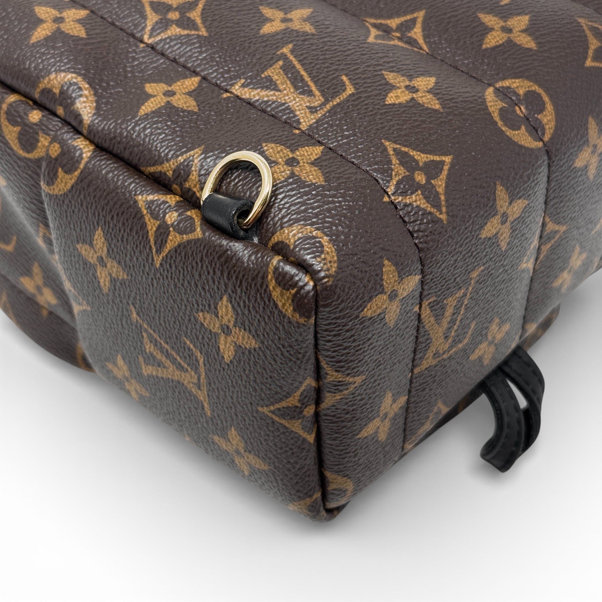 Louis Vuitton Monogram Palm Springs Mini