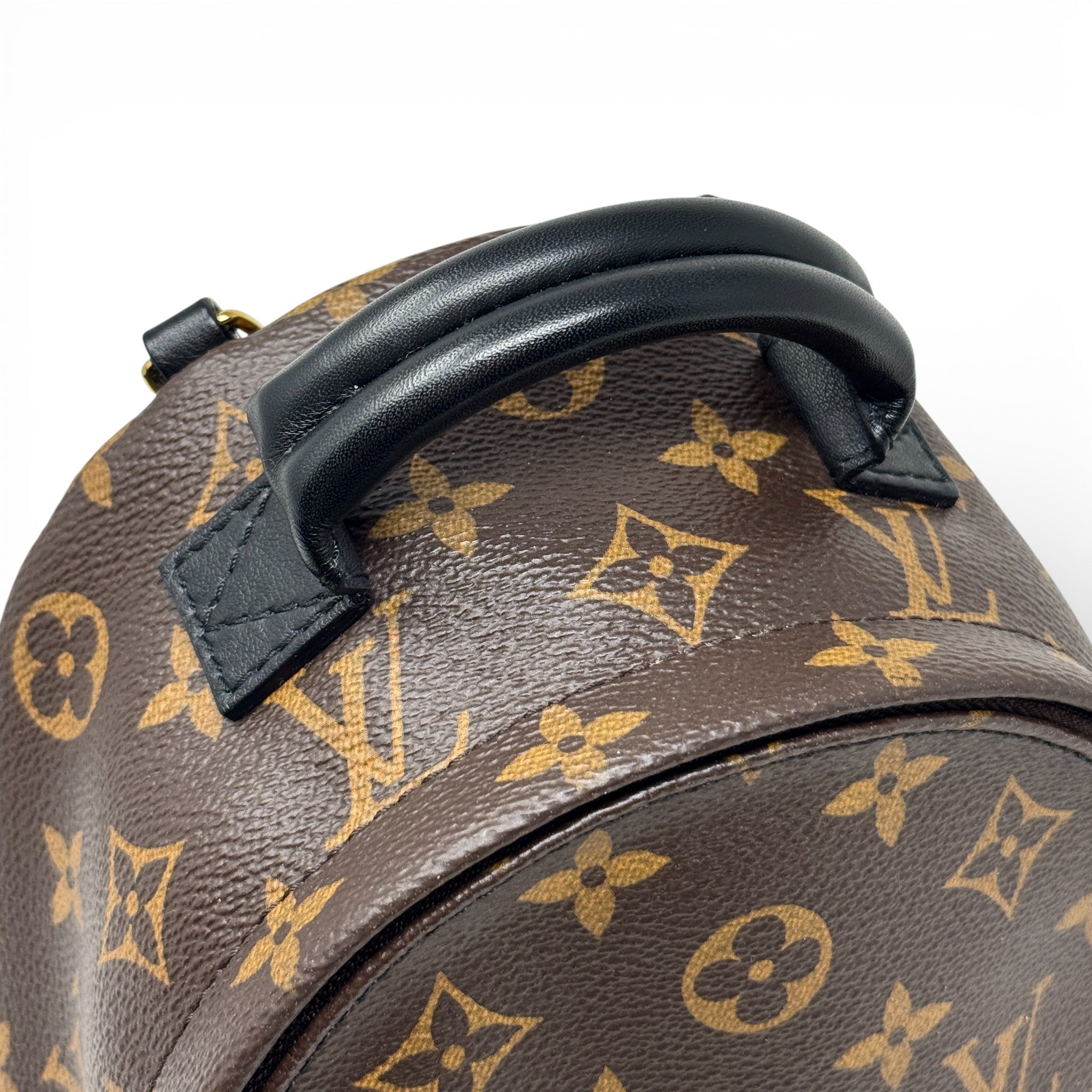 Louis Vuitton Monogram Palm Springs Mini