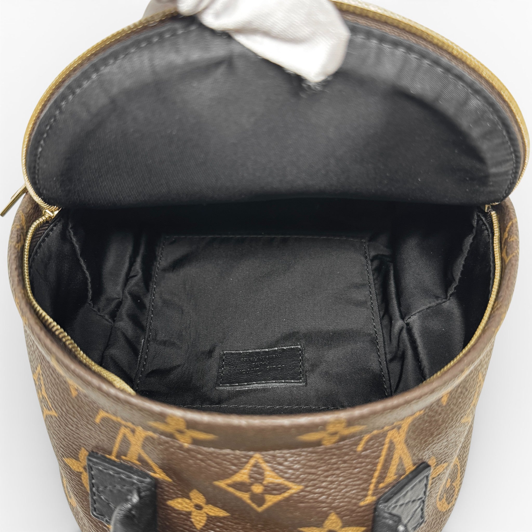 Louis Vuitton Monogram Palm Springs Mini