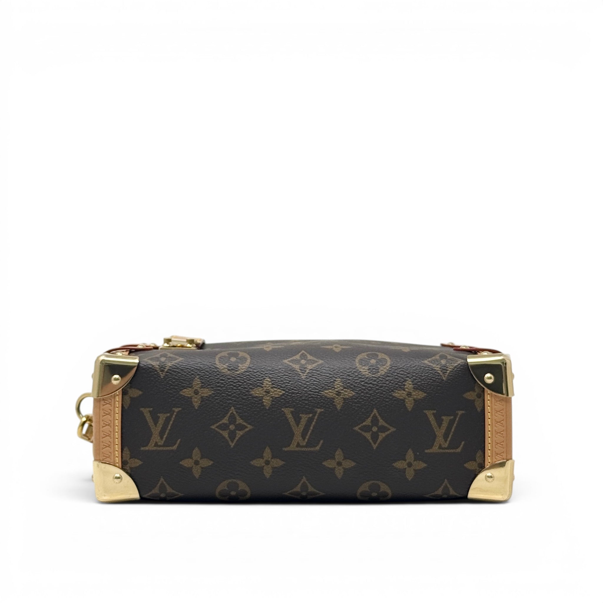 Louis Vuitton Monogram Side Trunk MM