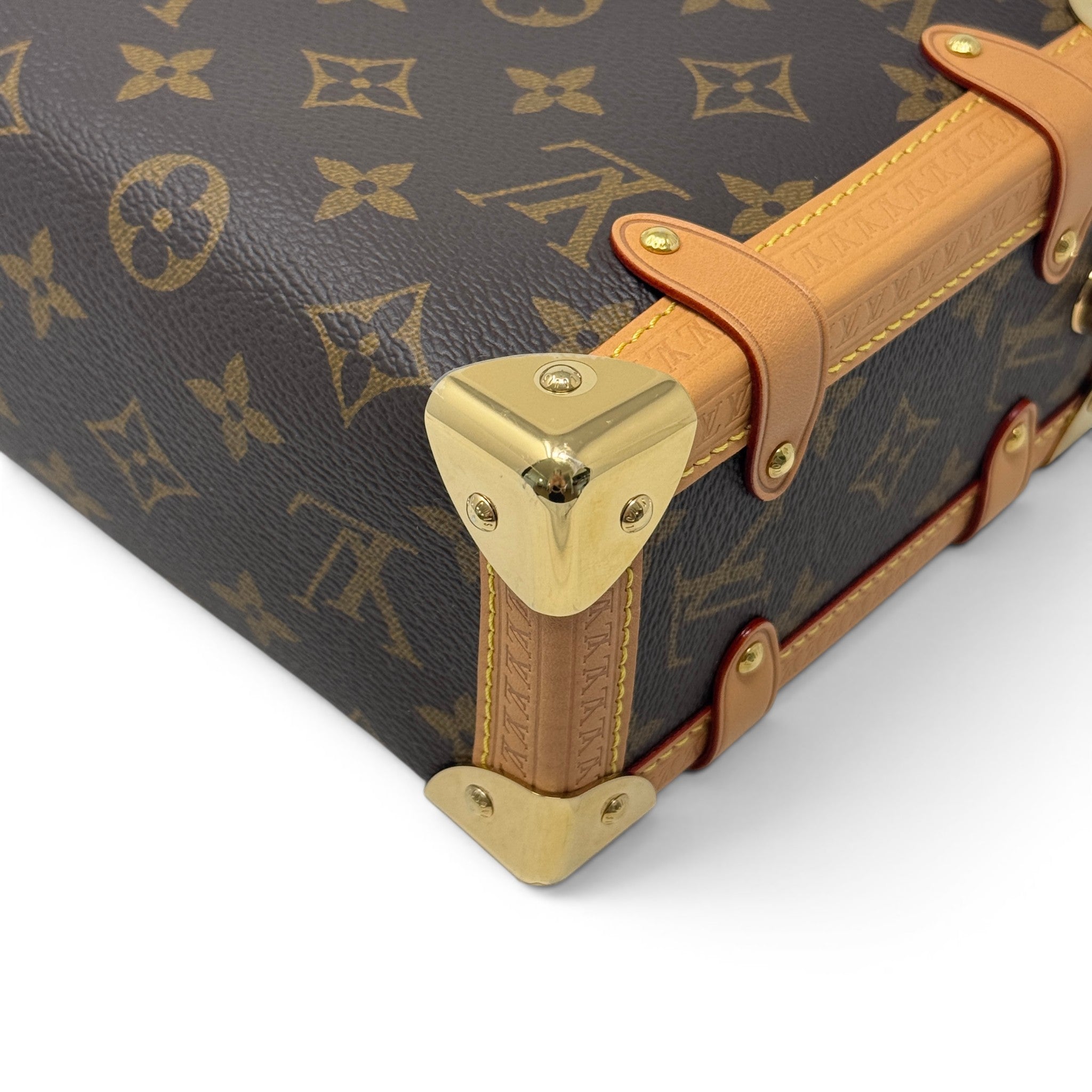 Louis Vuitton Monogram Side Trunk MM