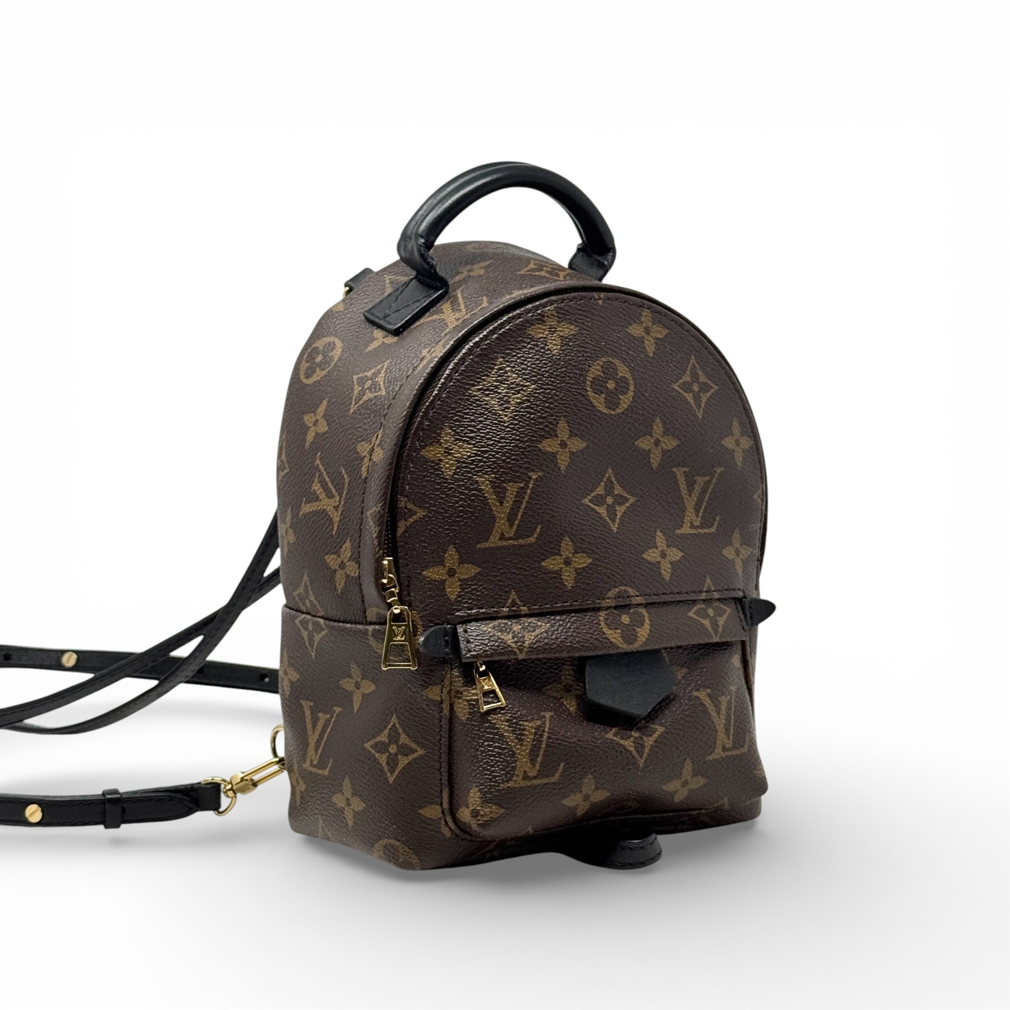 Louis Vuitton Monogram Palm Springs Mini