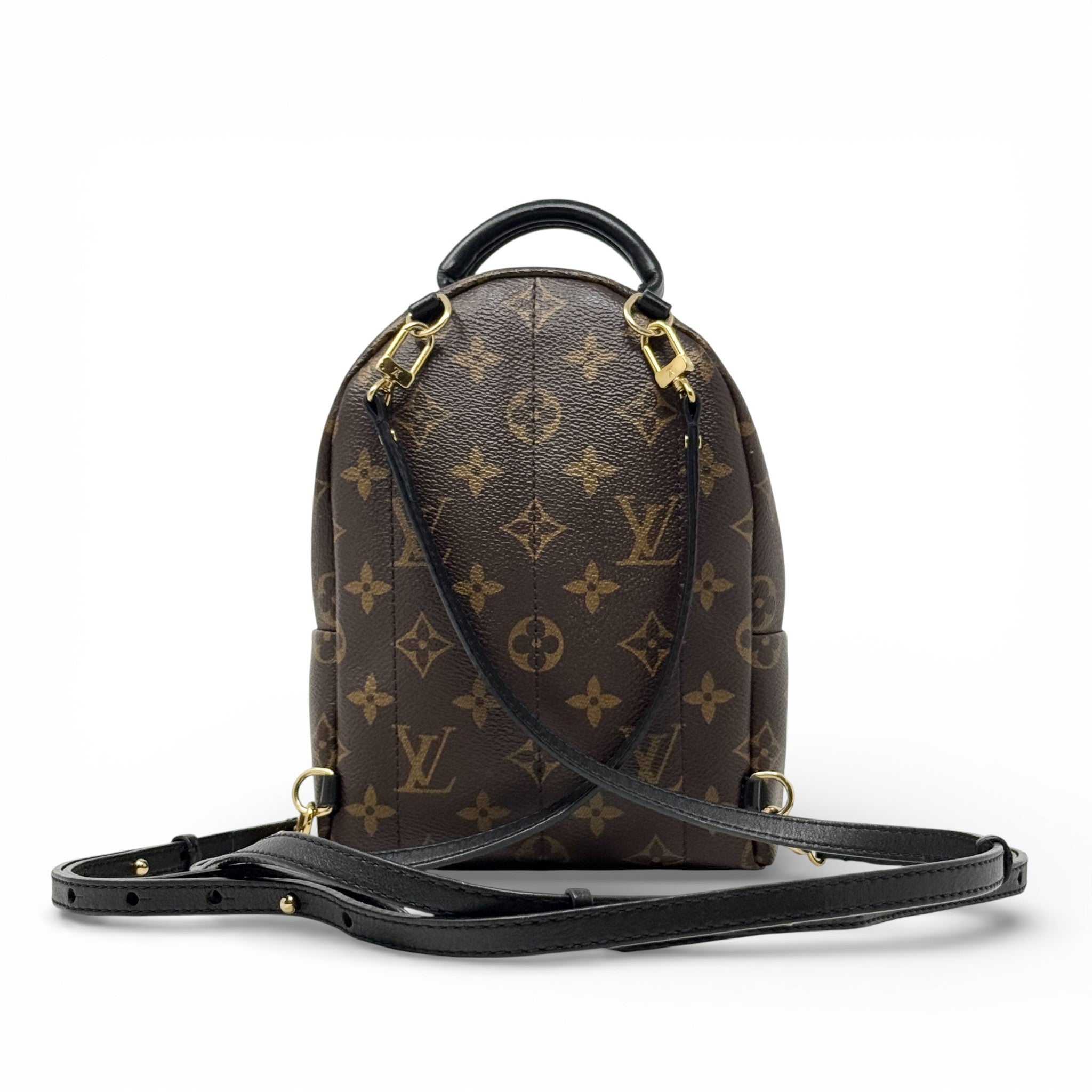 Louis Vuitton Monogram Palm Springs Mini