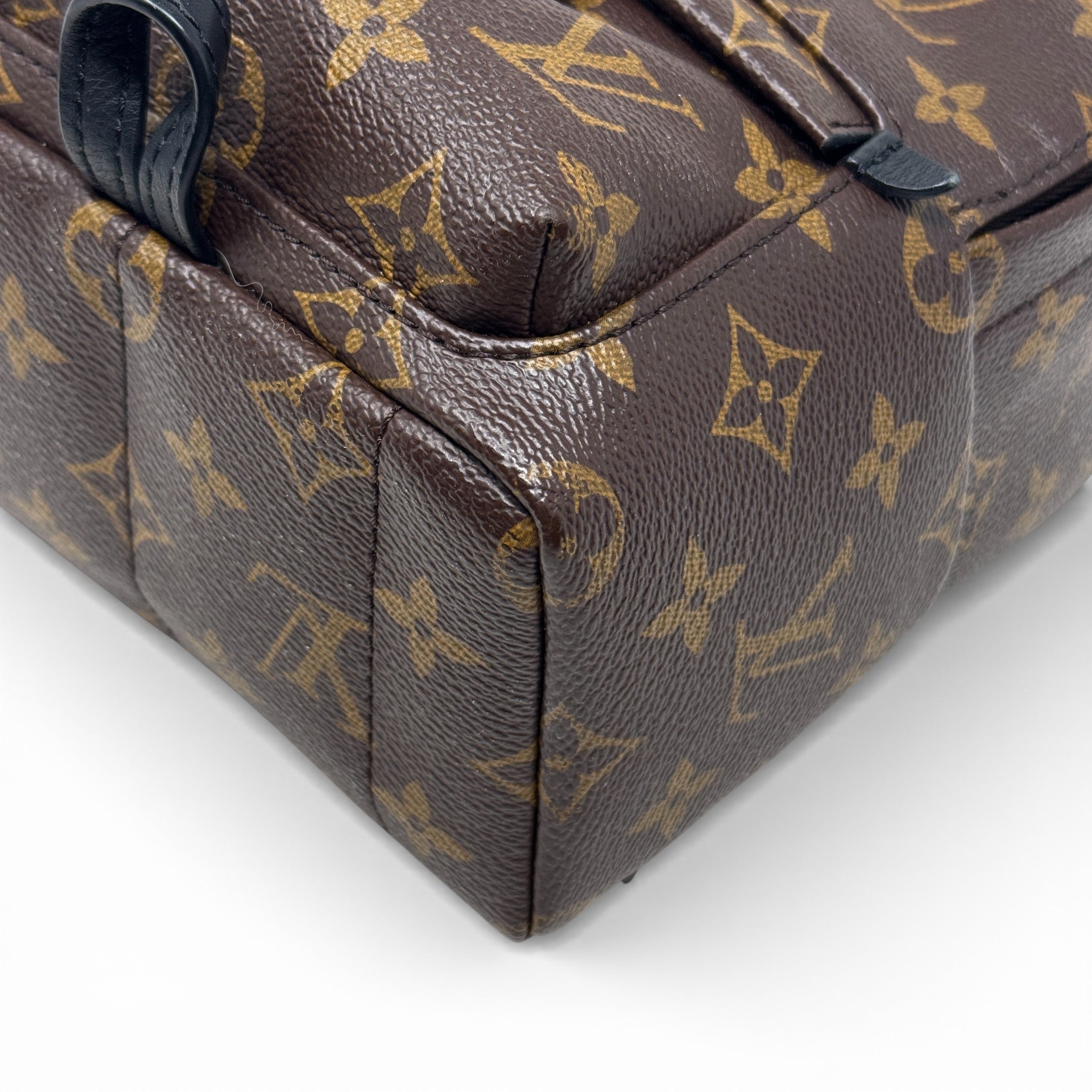 Louis Vuitton Monogram Palm Springs Mini