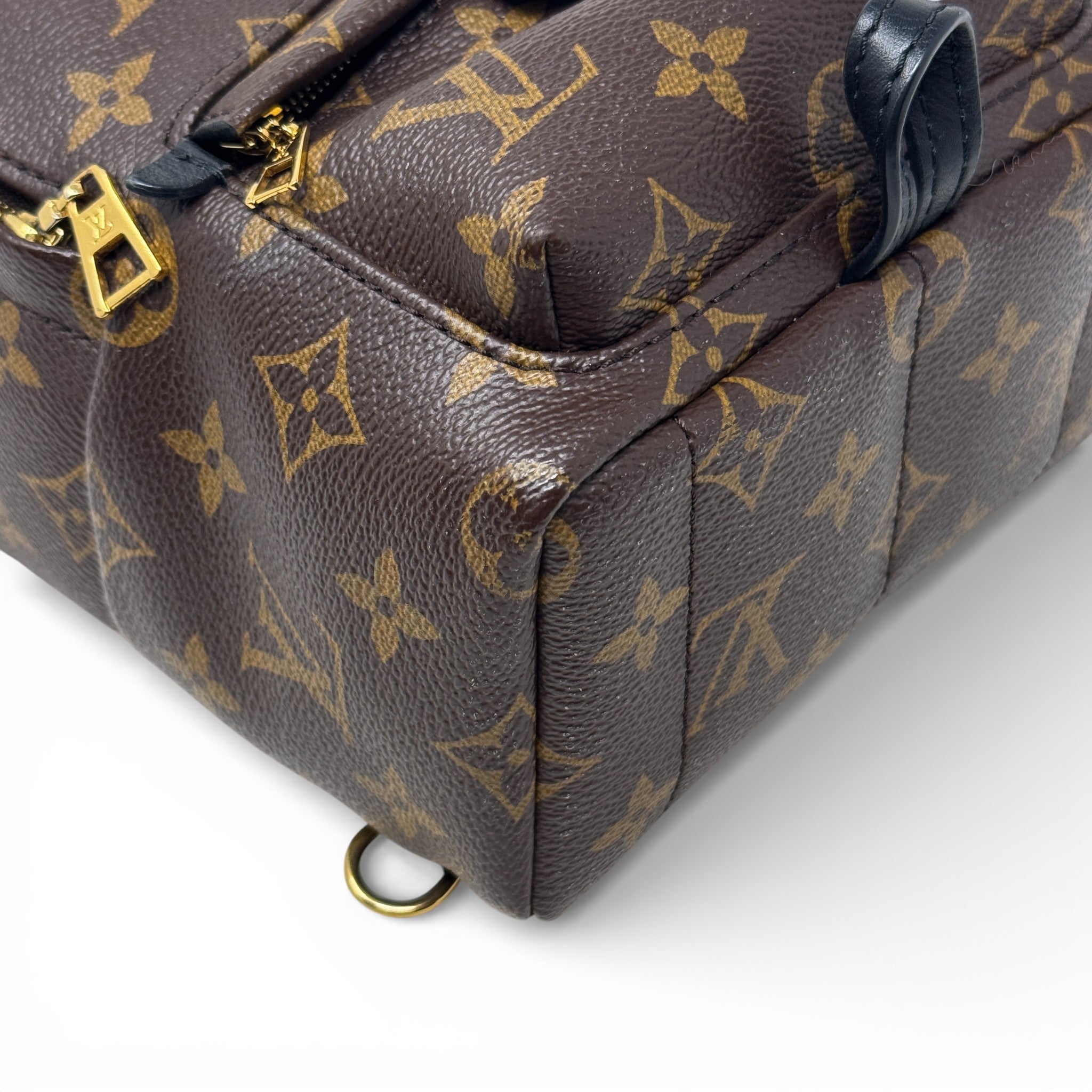 Louis Vuitton Monogram Palm Springs Mini