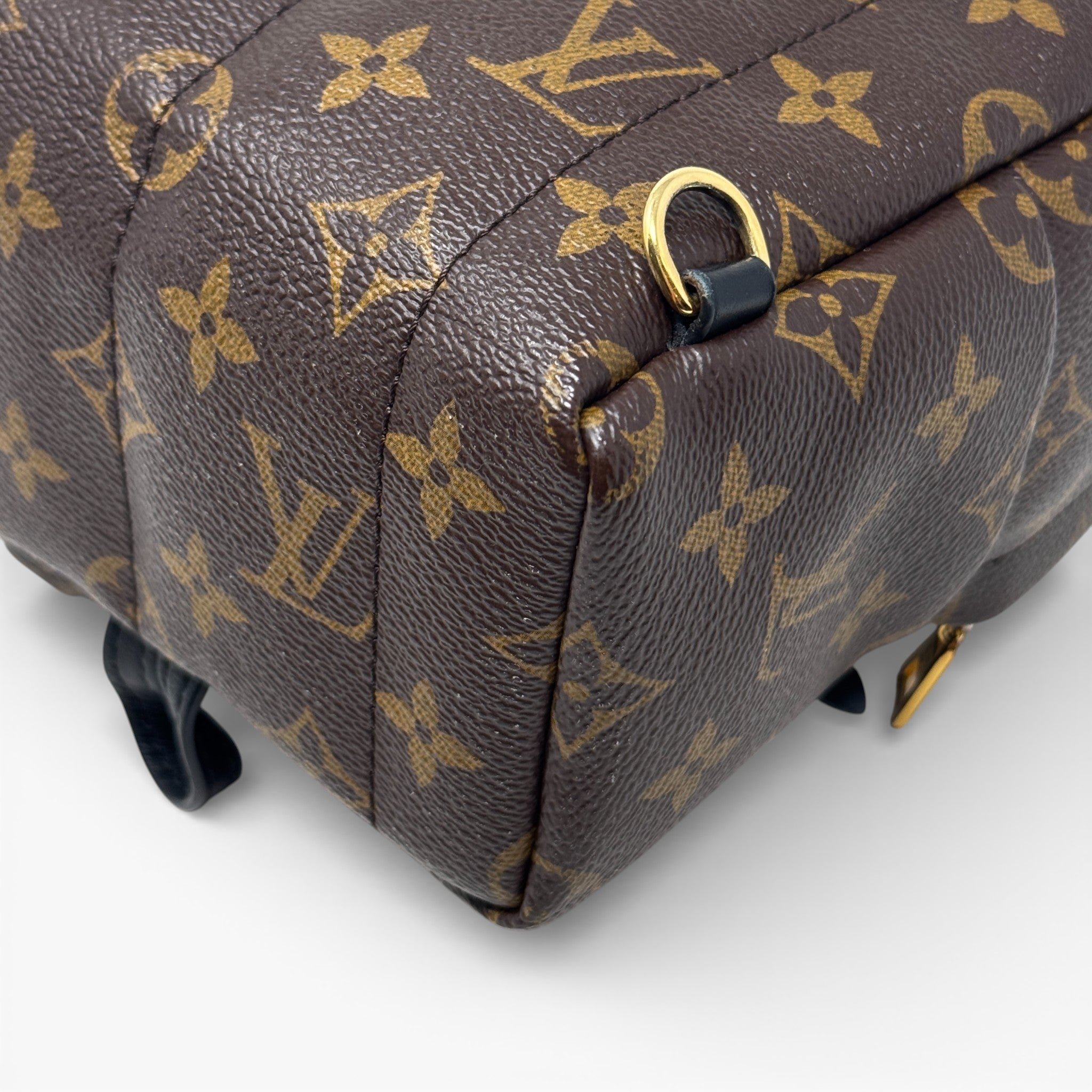 Louis Vuitton Monogram Palm Springs Mini