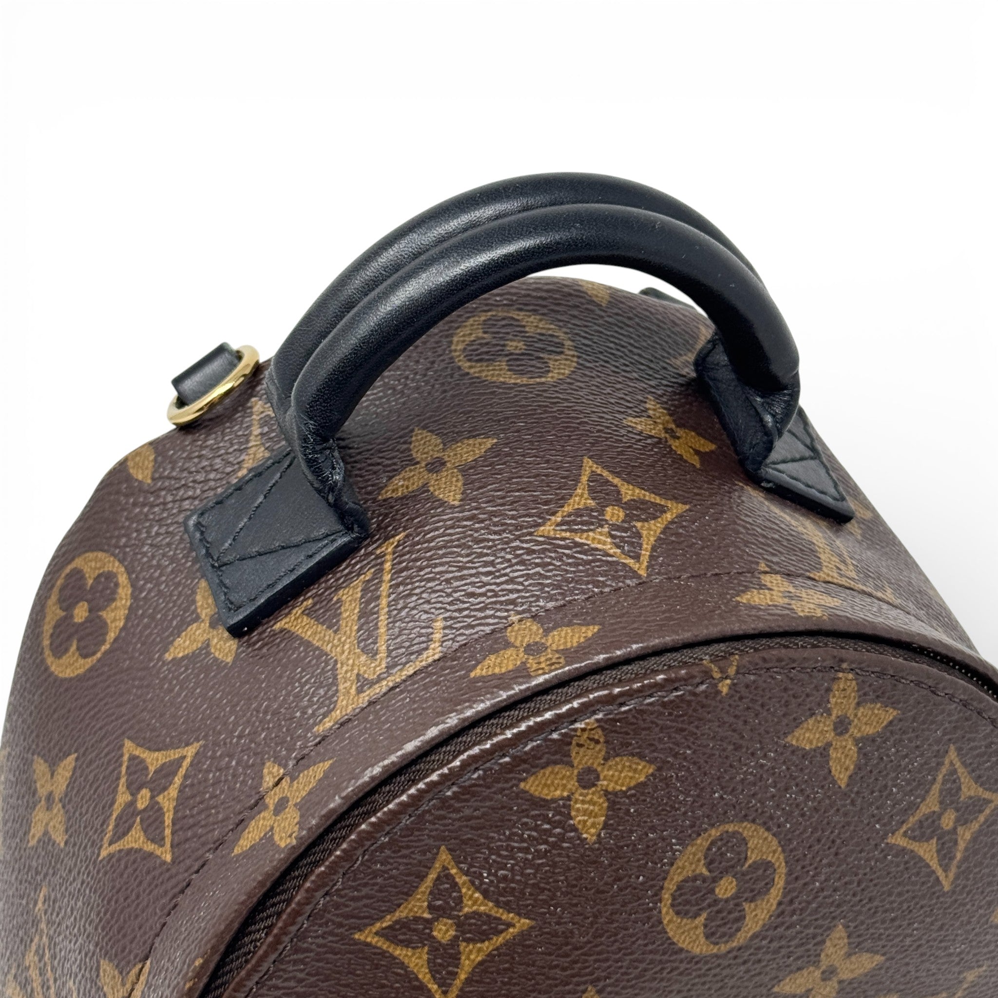 Louis Vuitton Monogram Palm Springs Mini