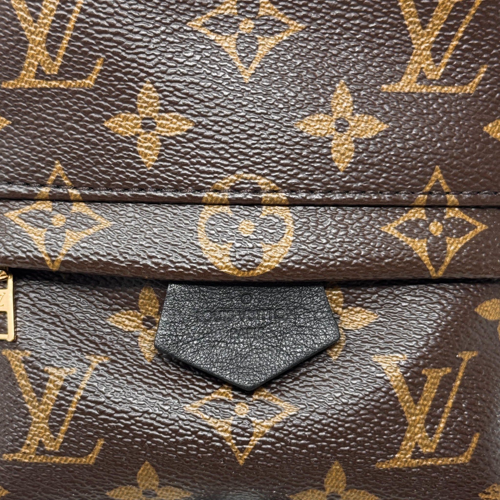 Louis Vuitton Monogram Palm Springs Mini