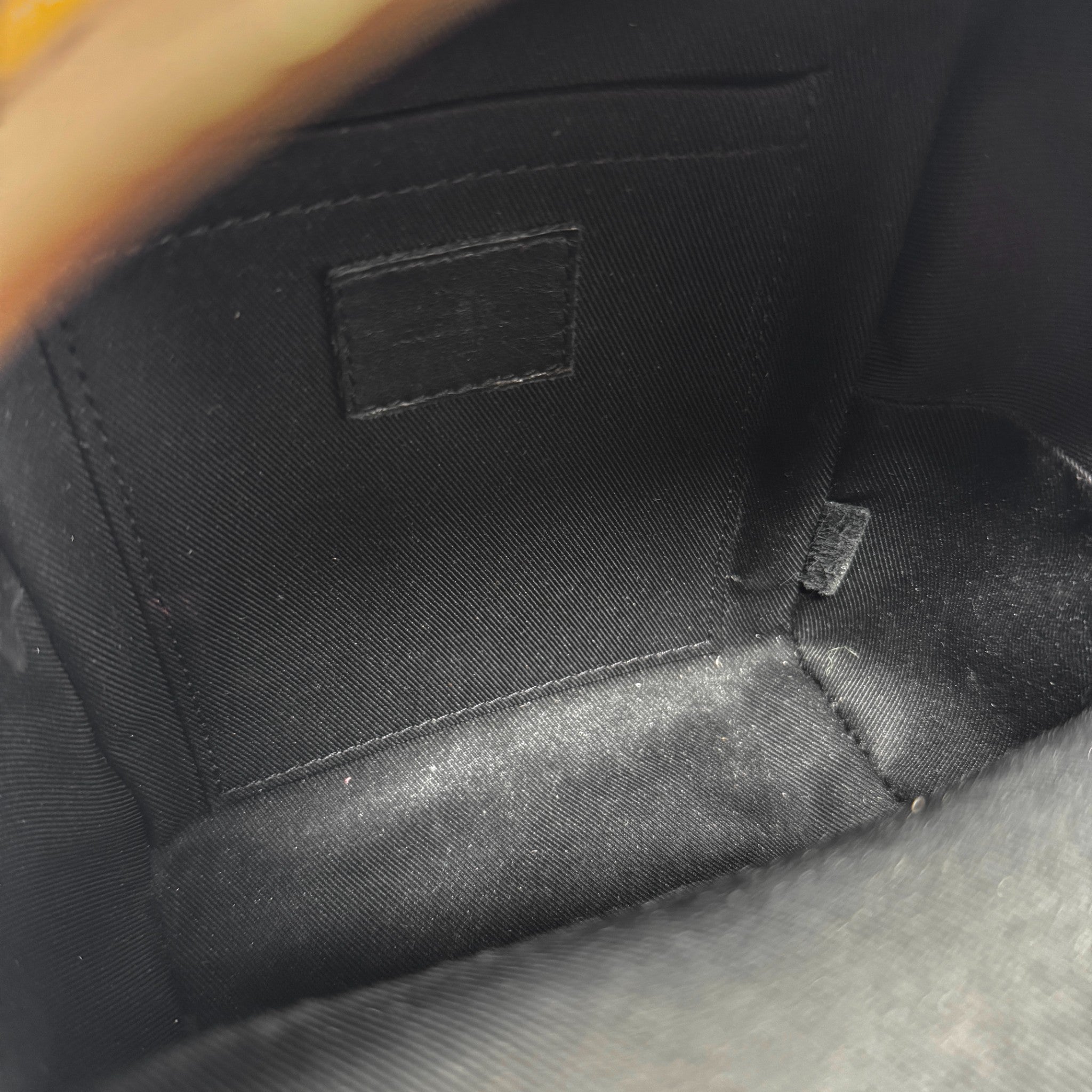 Louis Vuitton Monogram Palm Springs Mini