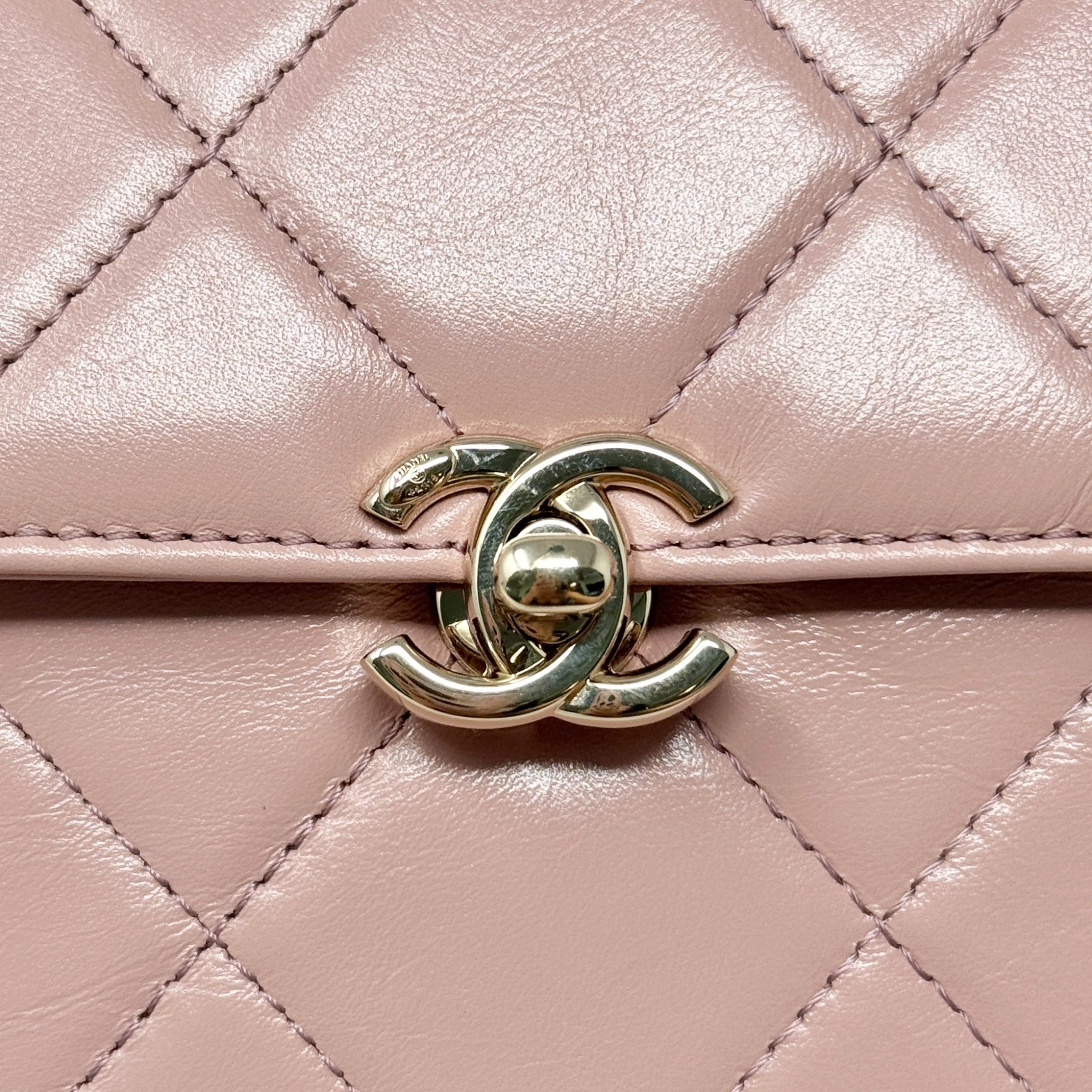 Chanel Pink Medium Vanity Top Handle Flap