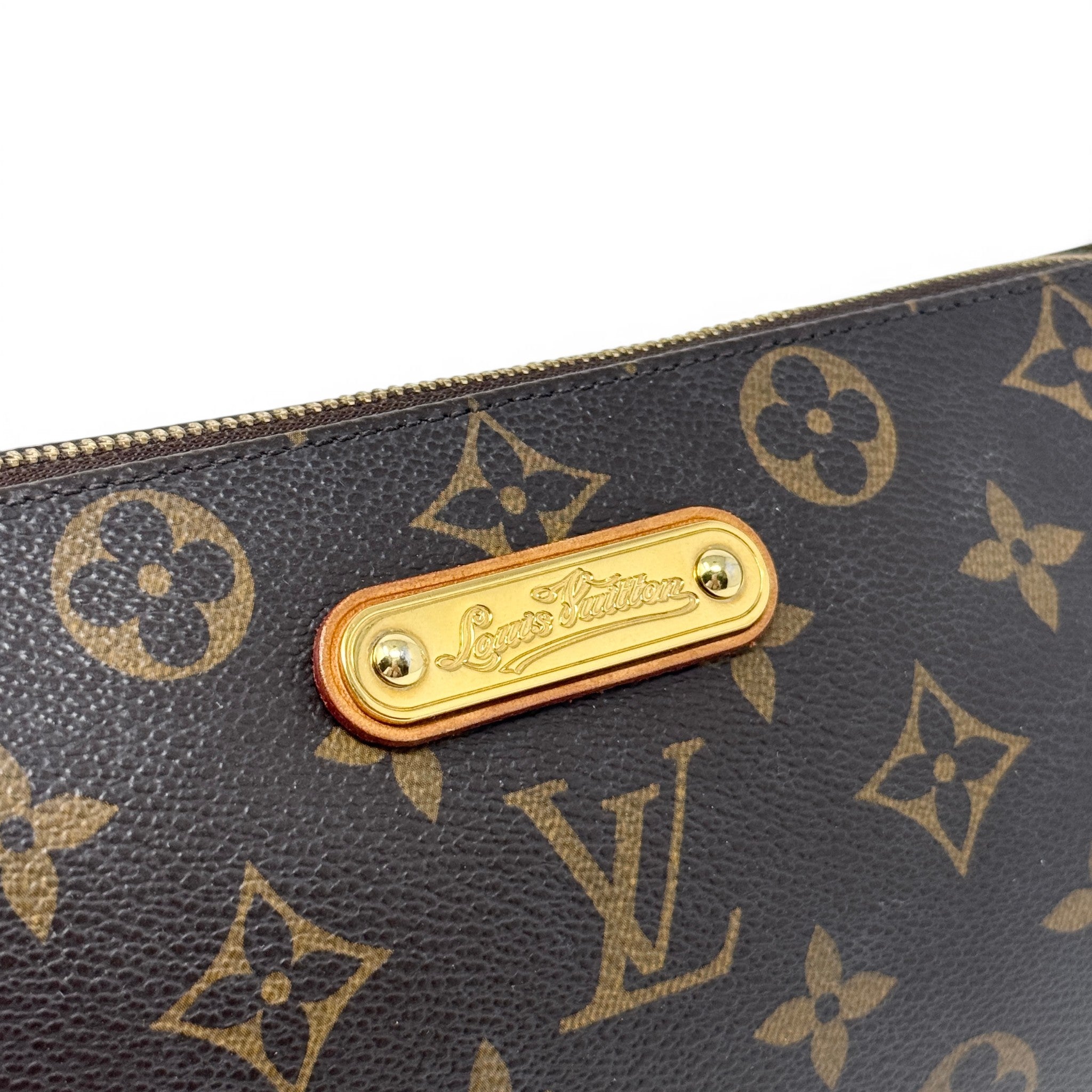 Louis Vuitton Monogram Eva Pochette
