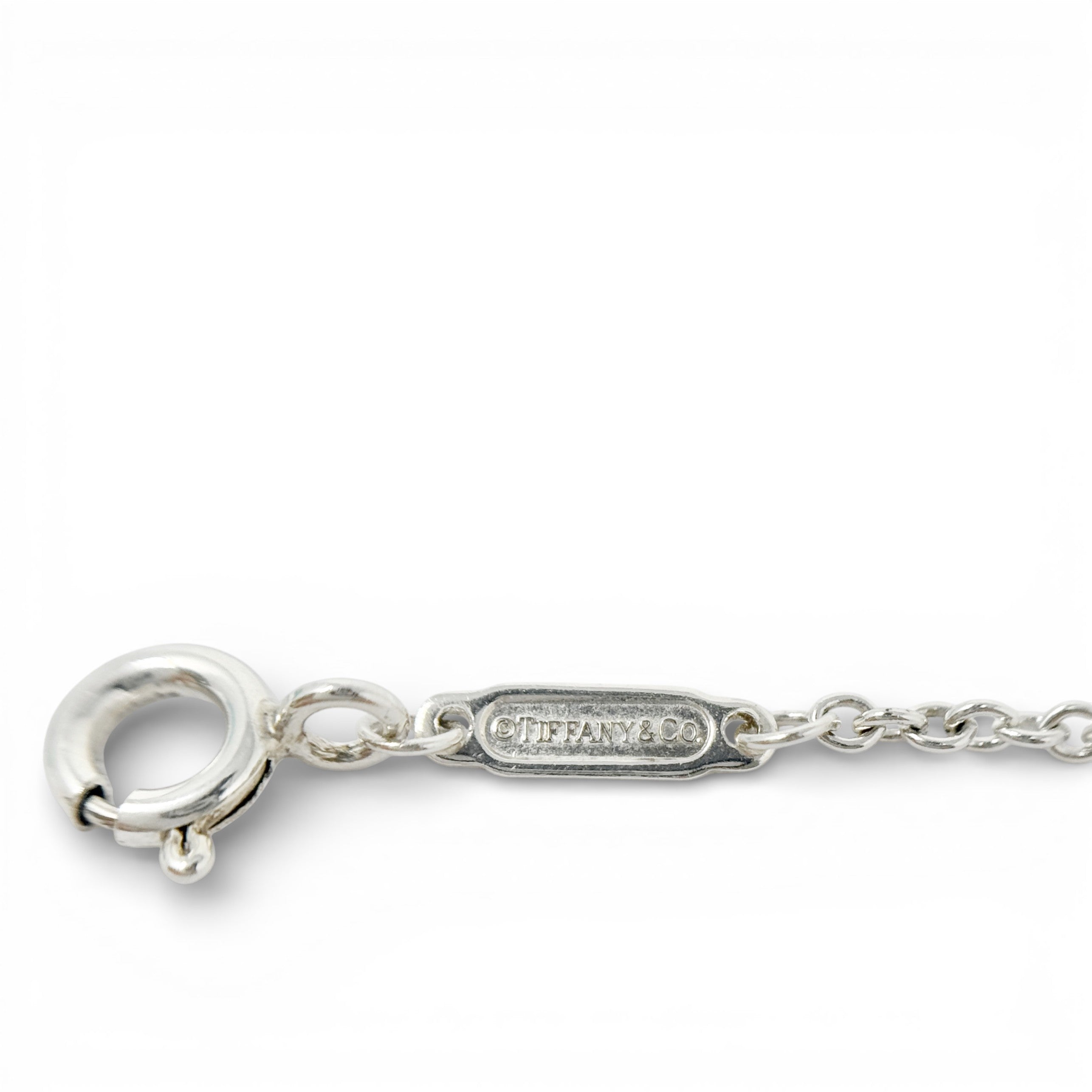 Tiffany & Co. Interlocking Circles Chain Bracelet