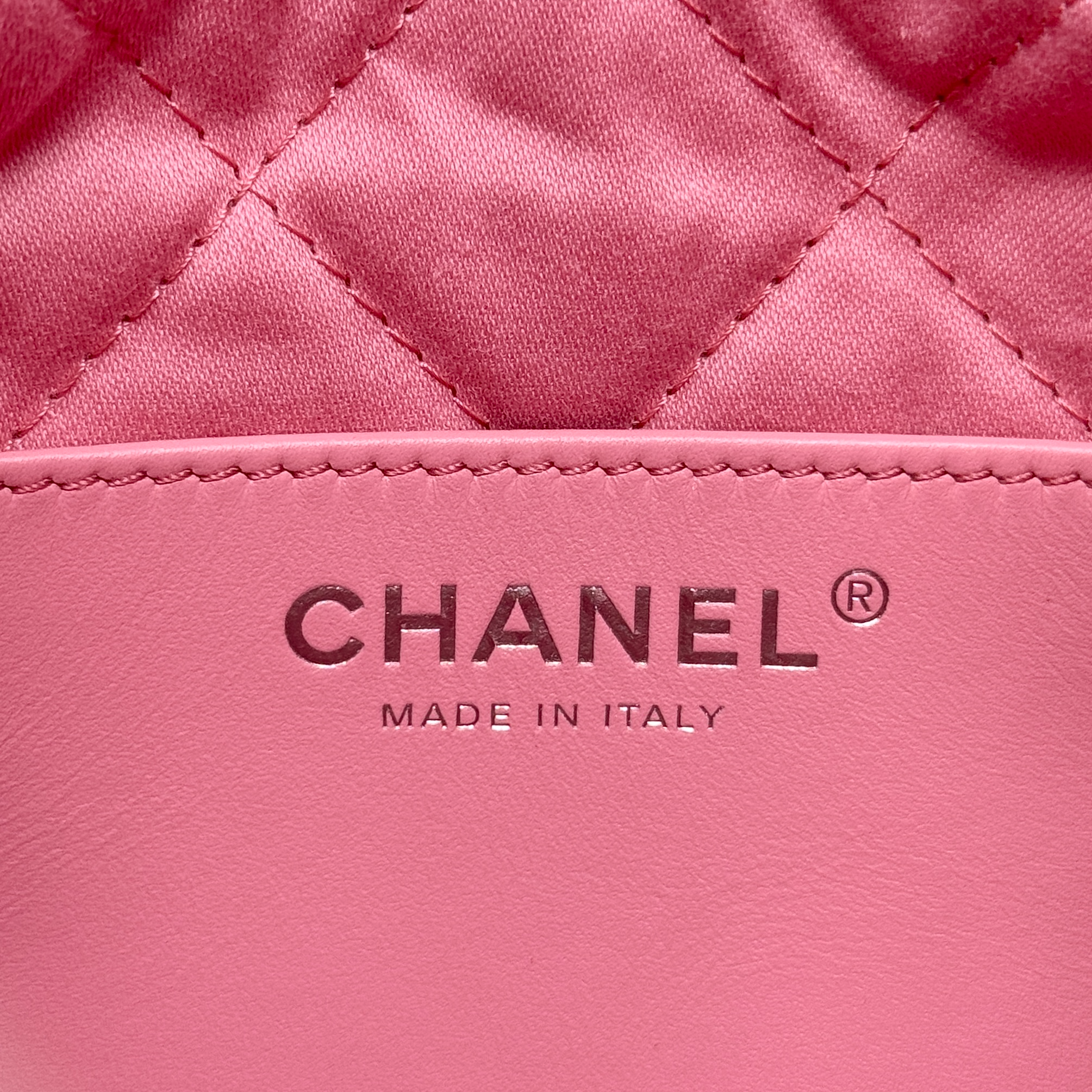 Chanel Pink Mini 22 Hobo