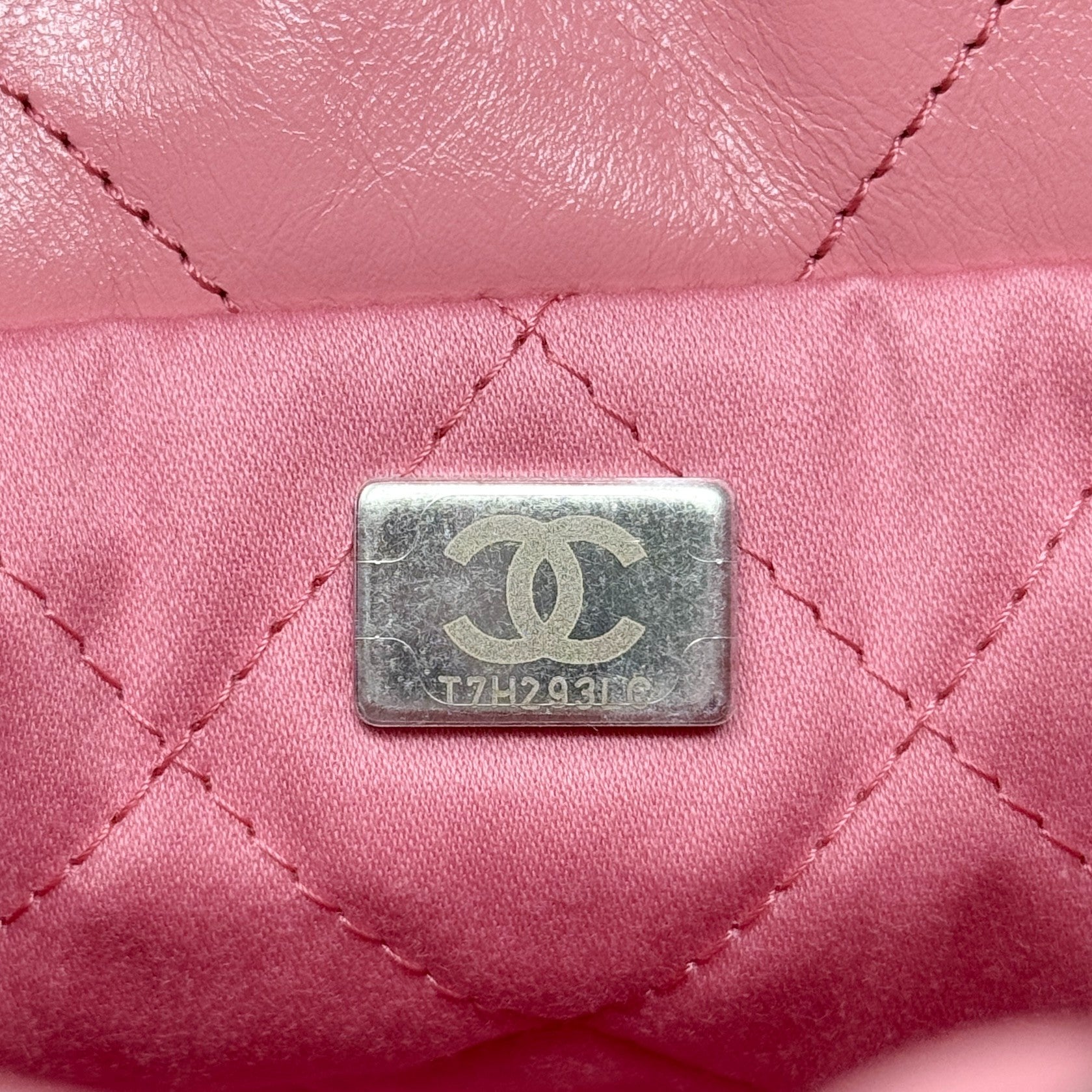 Chanel Pink Mini 22 Hobo