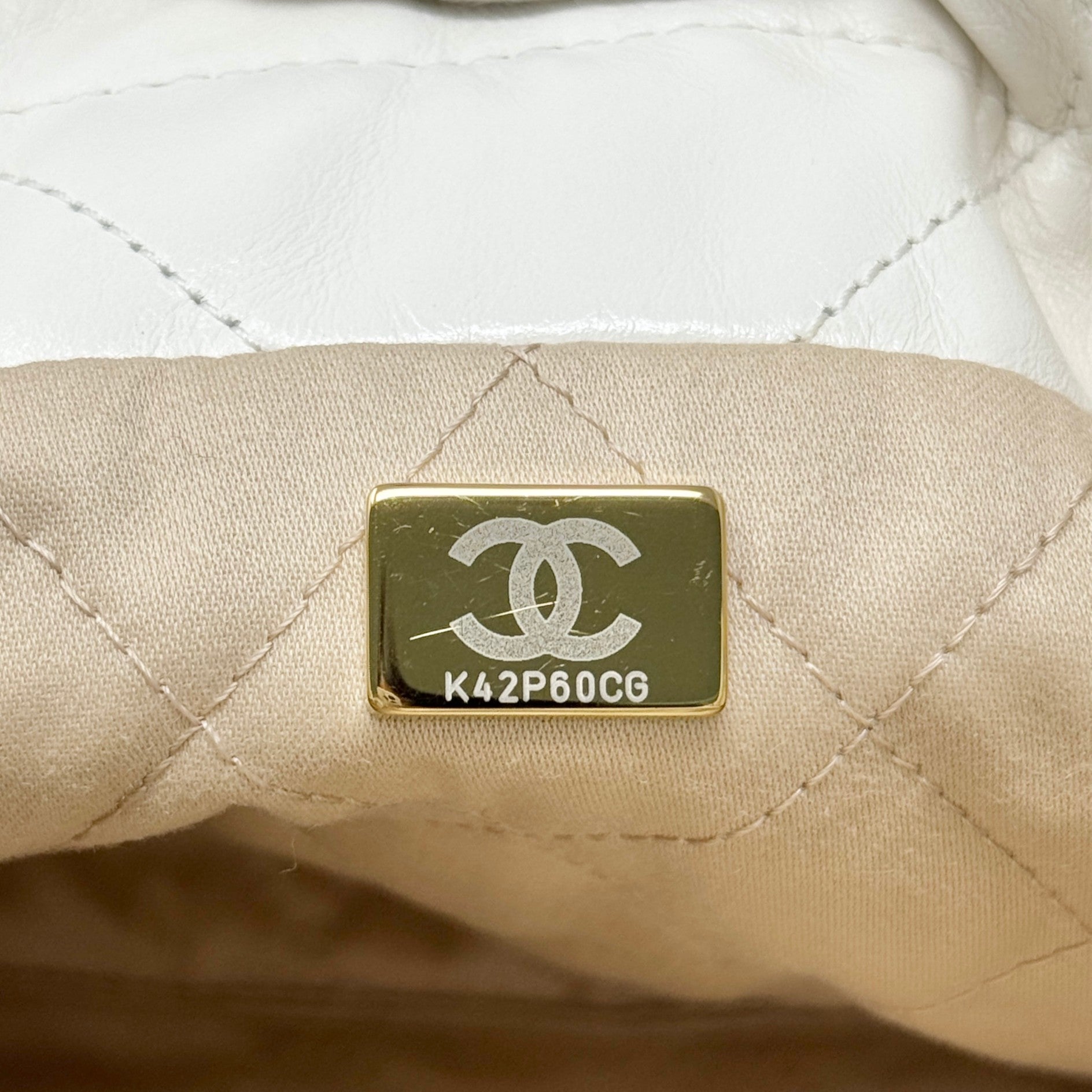 Chanel White Mini 22 Hobo