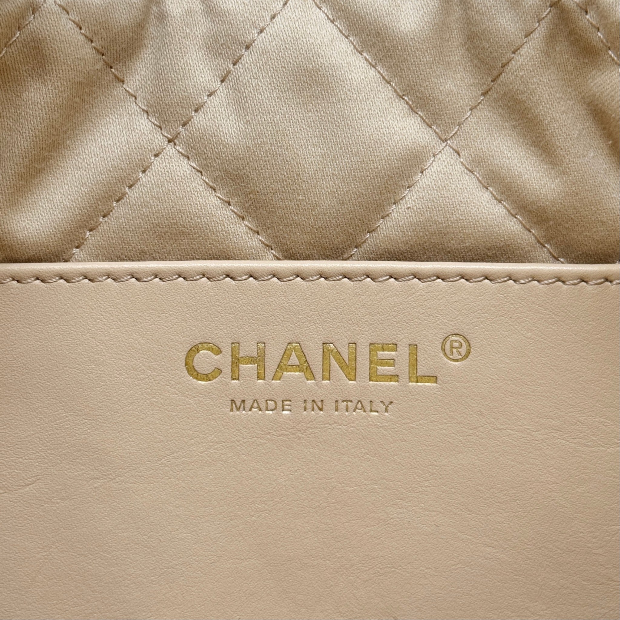 Chanel White Mini 22 Hobo