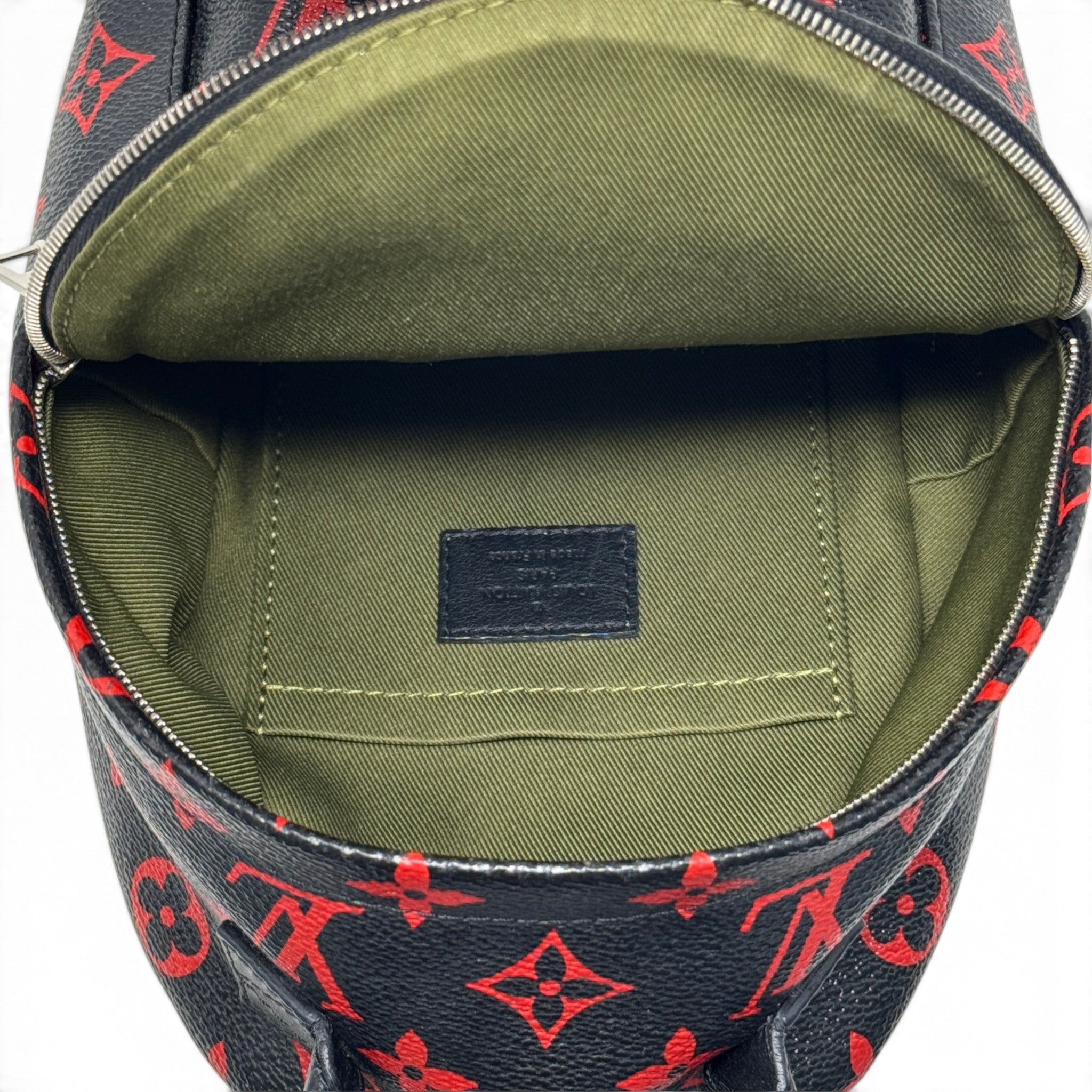 Louis Vuitton Infrarouge Monogram Palm Springs Mini
