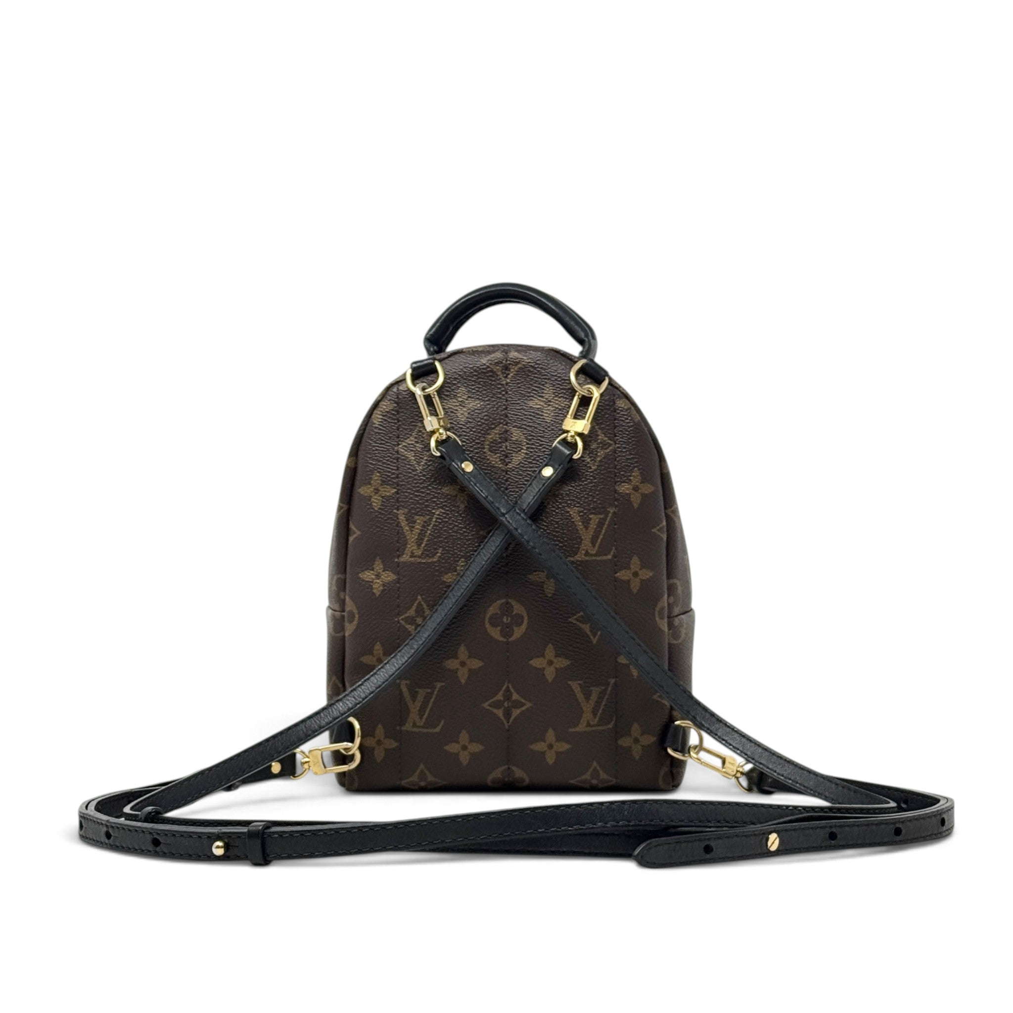 Louis Vuitton Monogram Palm Springs Mini